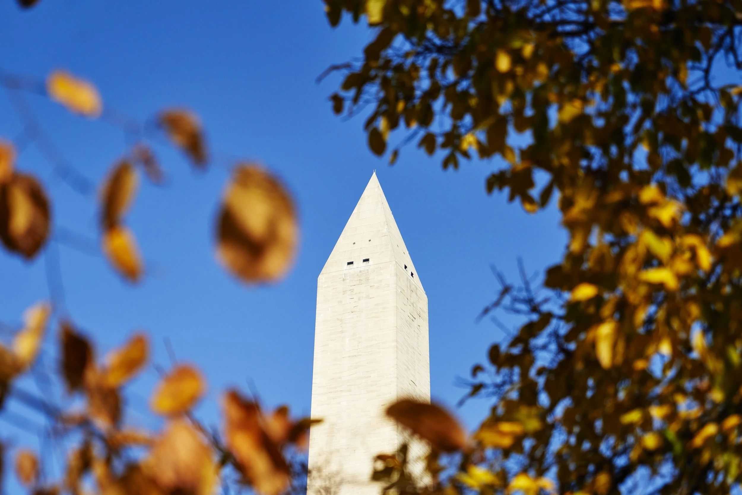 Washington Monument