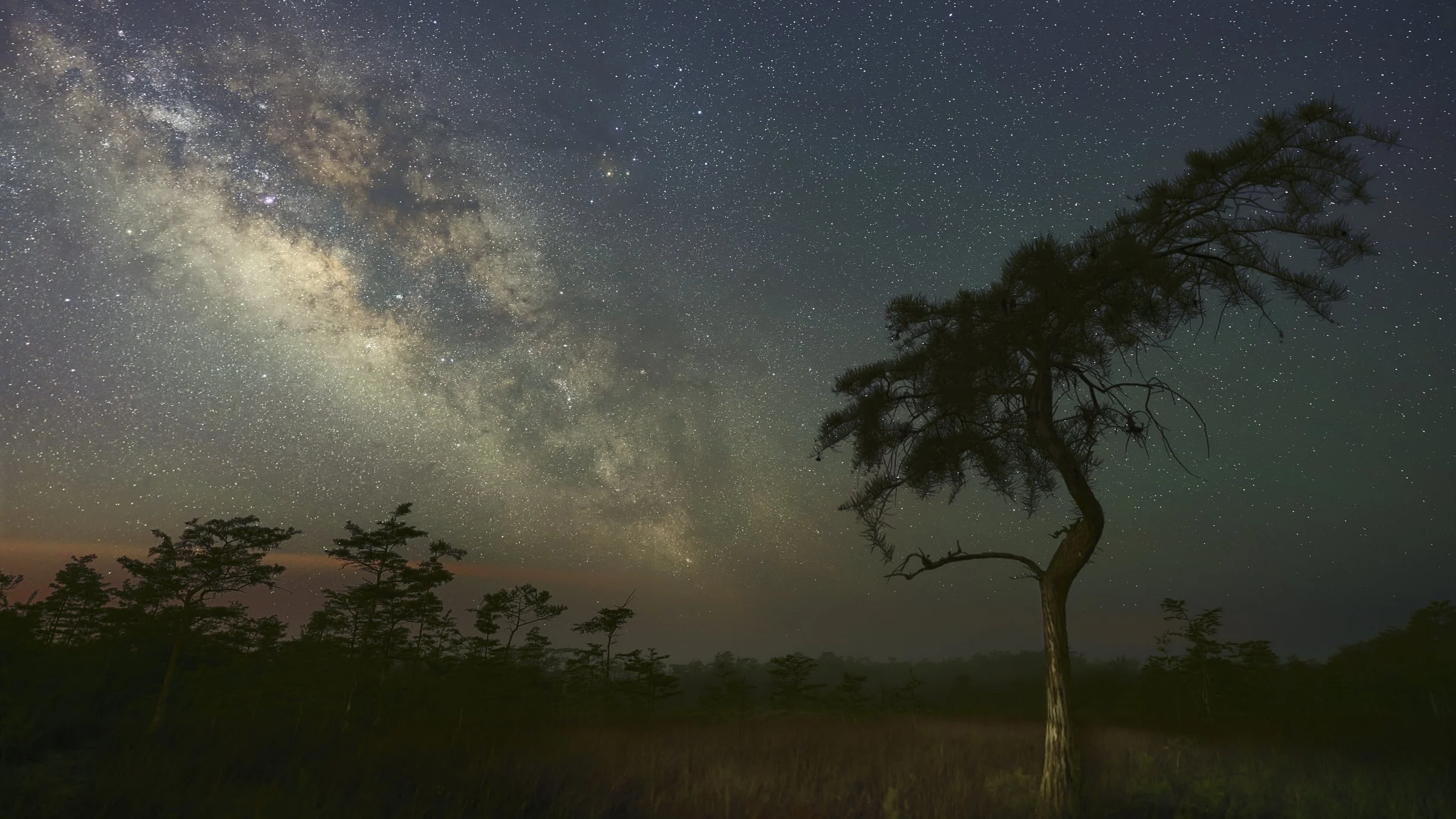 The heart of the Milky Way as seen from Big Cypress National Preserve.