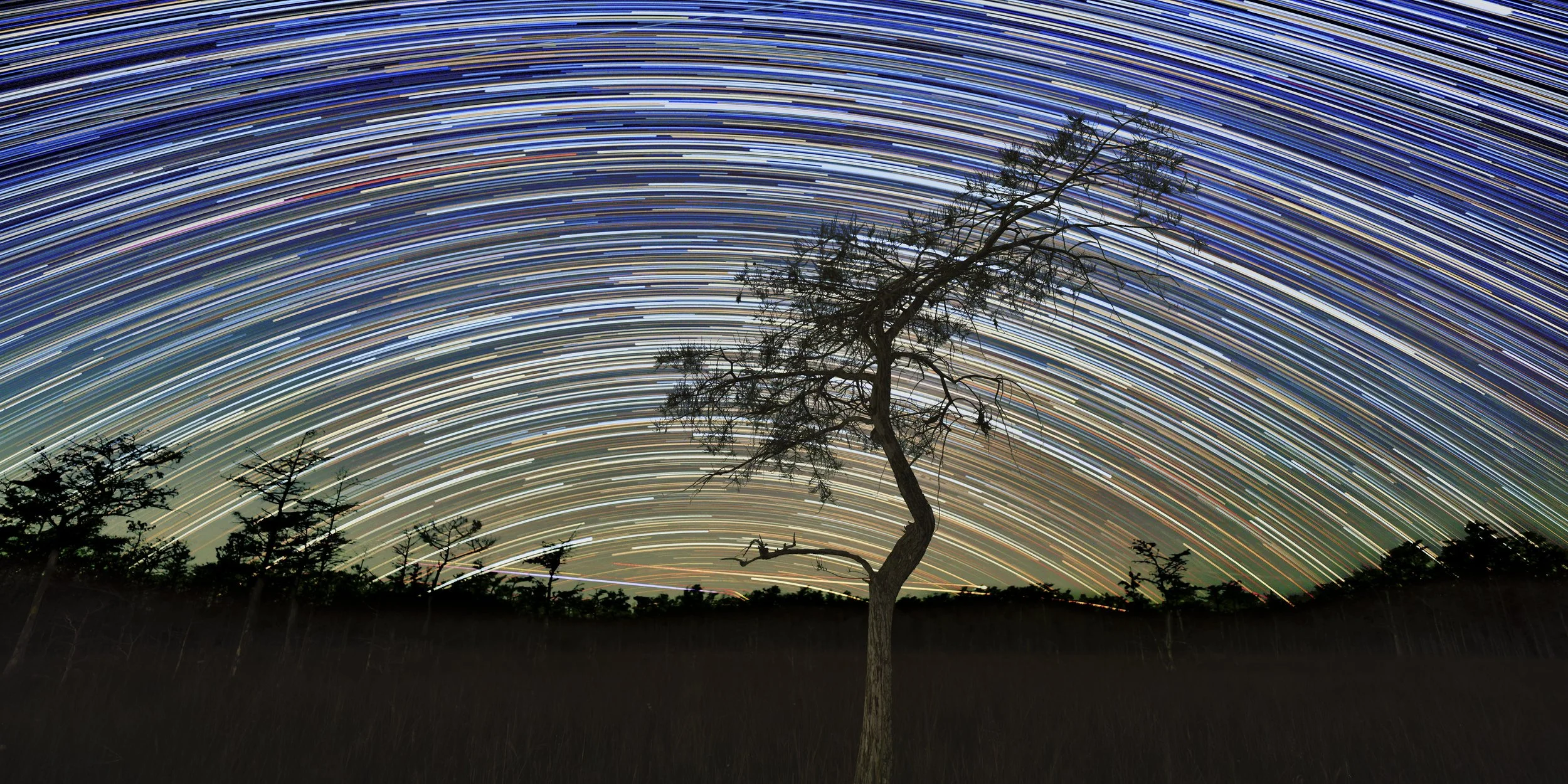 111 minutes in Big Cypress National Preserve