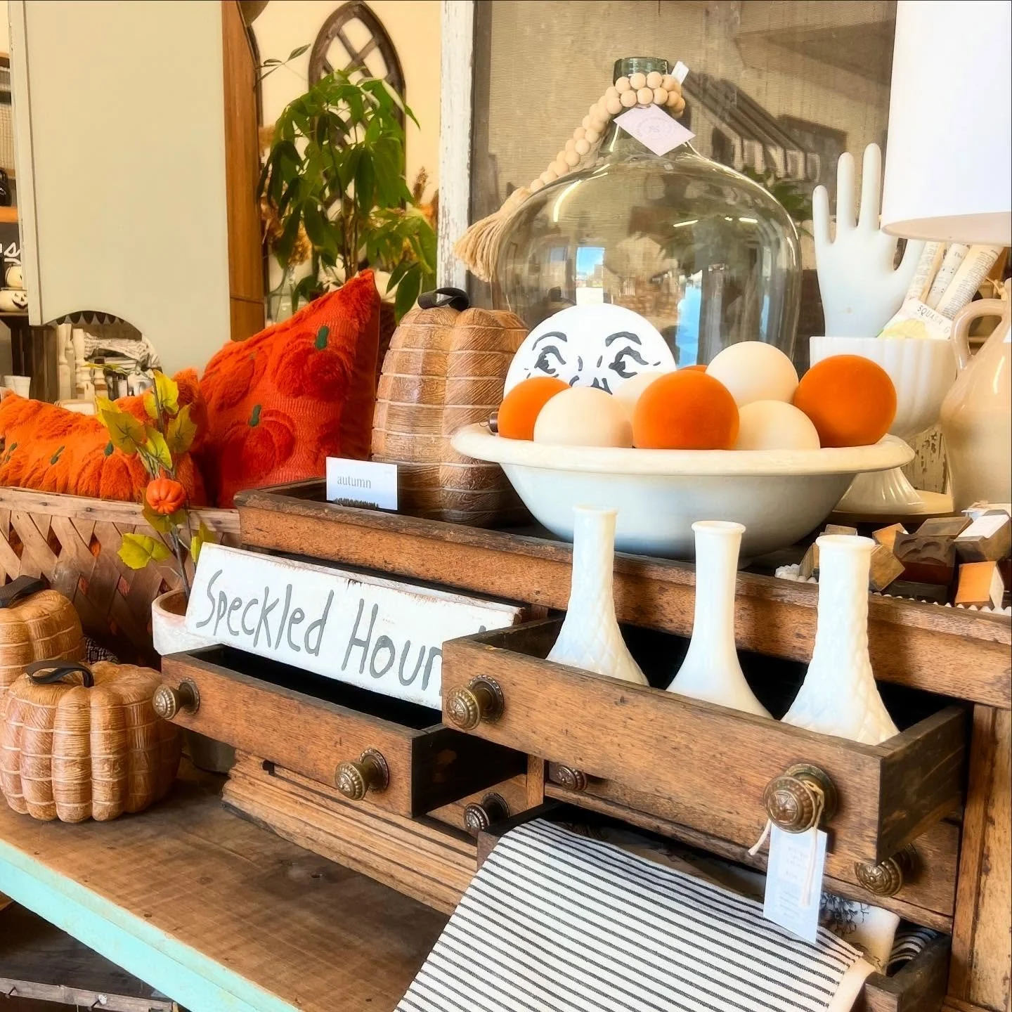 Where your autumn dreams spill into real life, you’ll find it all tucked away right here! A little bit of magic, a dash of vintage and a whole lot of cozy charm. Come see us this week! Fresh finds throughout the shop!
#primitivechic #farmhousef