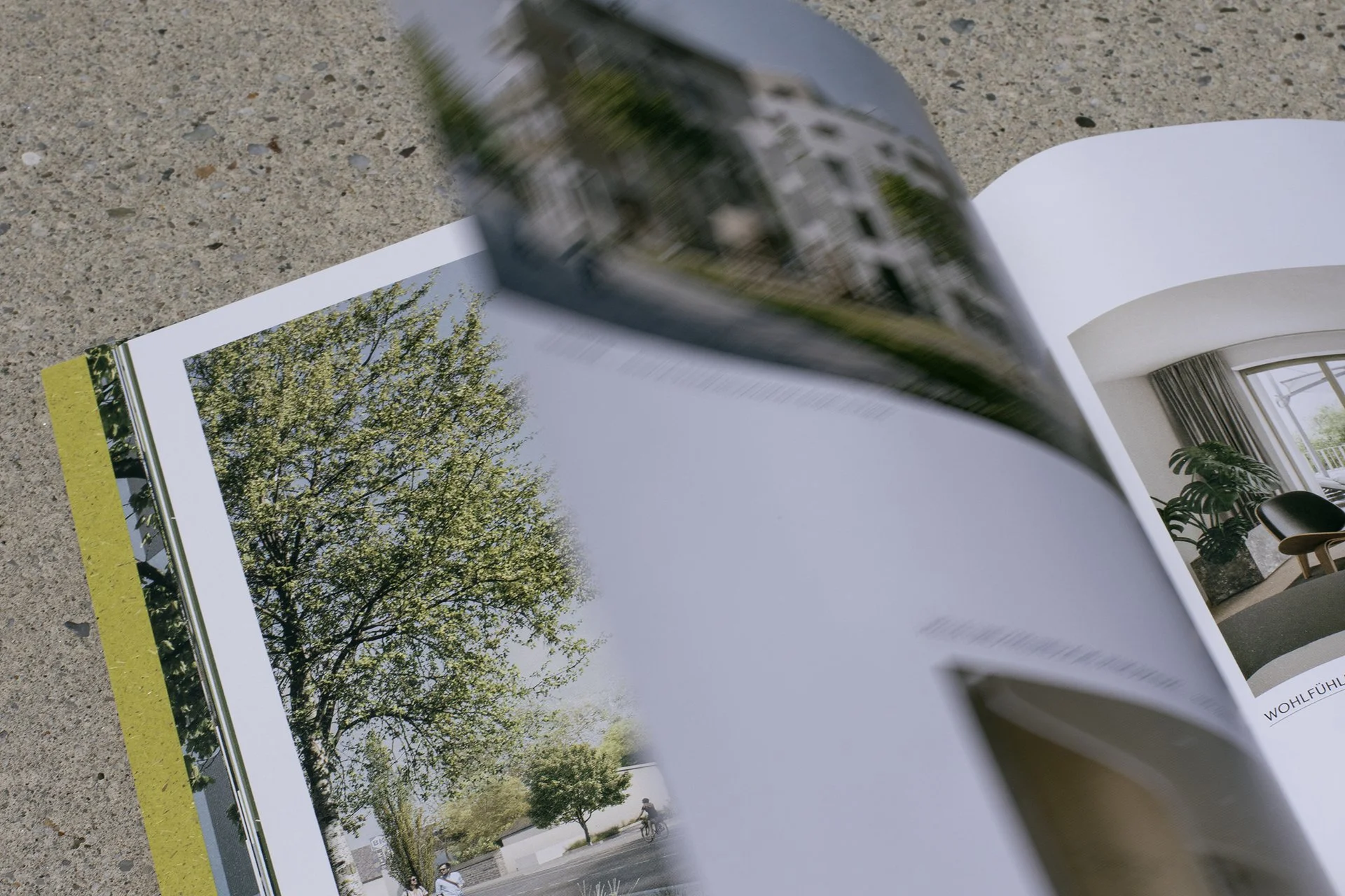 Offener Magazin mit Fotos von Bäumen und einer Stadtansicht, liegt auf einem Gehweg.