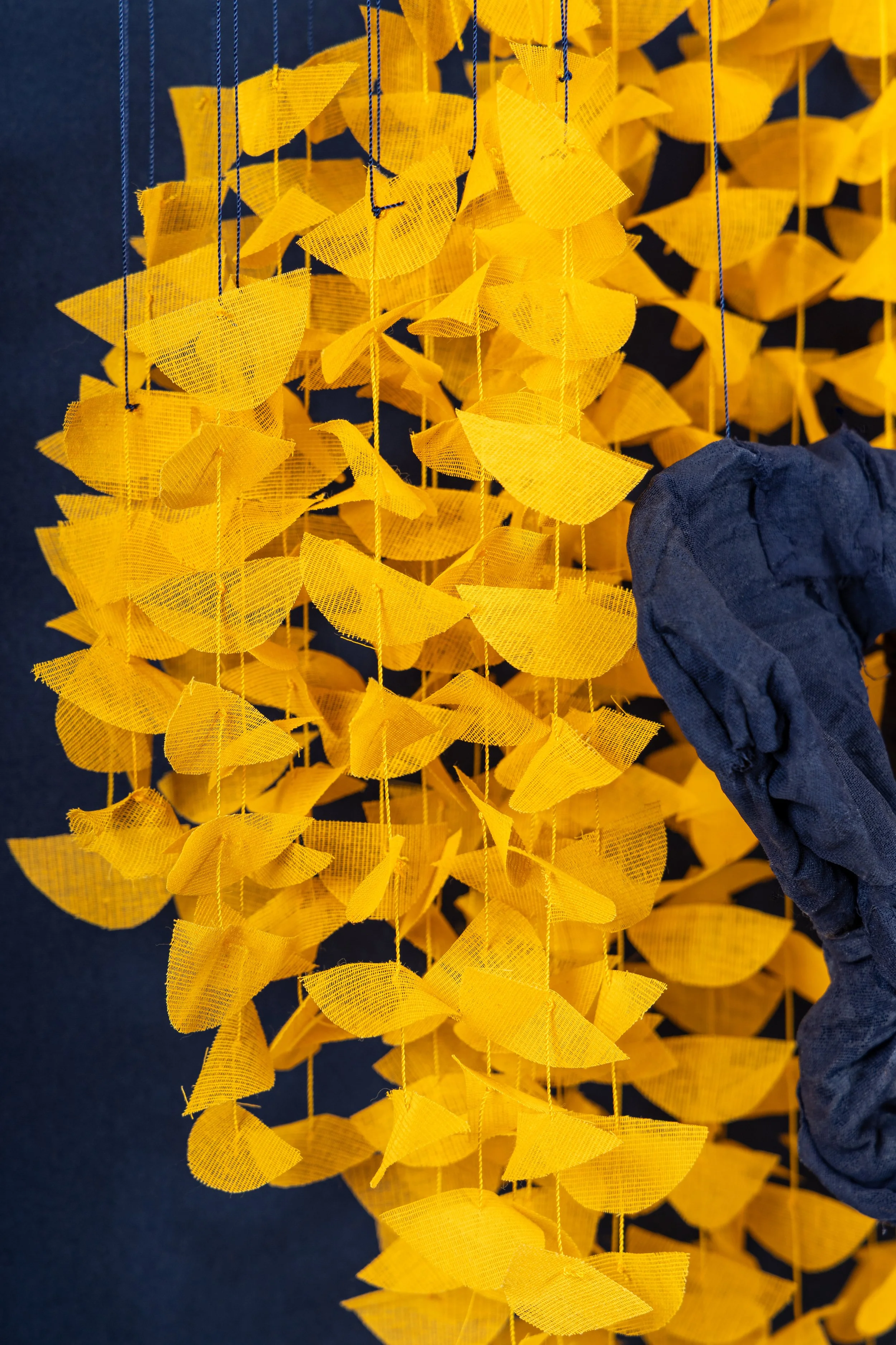 Laura Jew - Expo Tejido Pieza 6.5.jpg