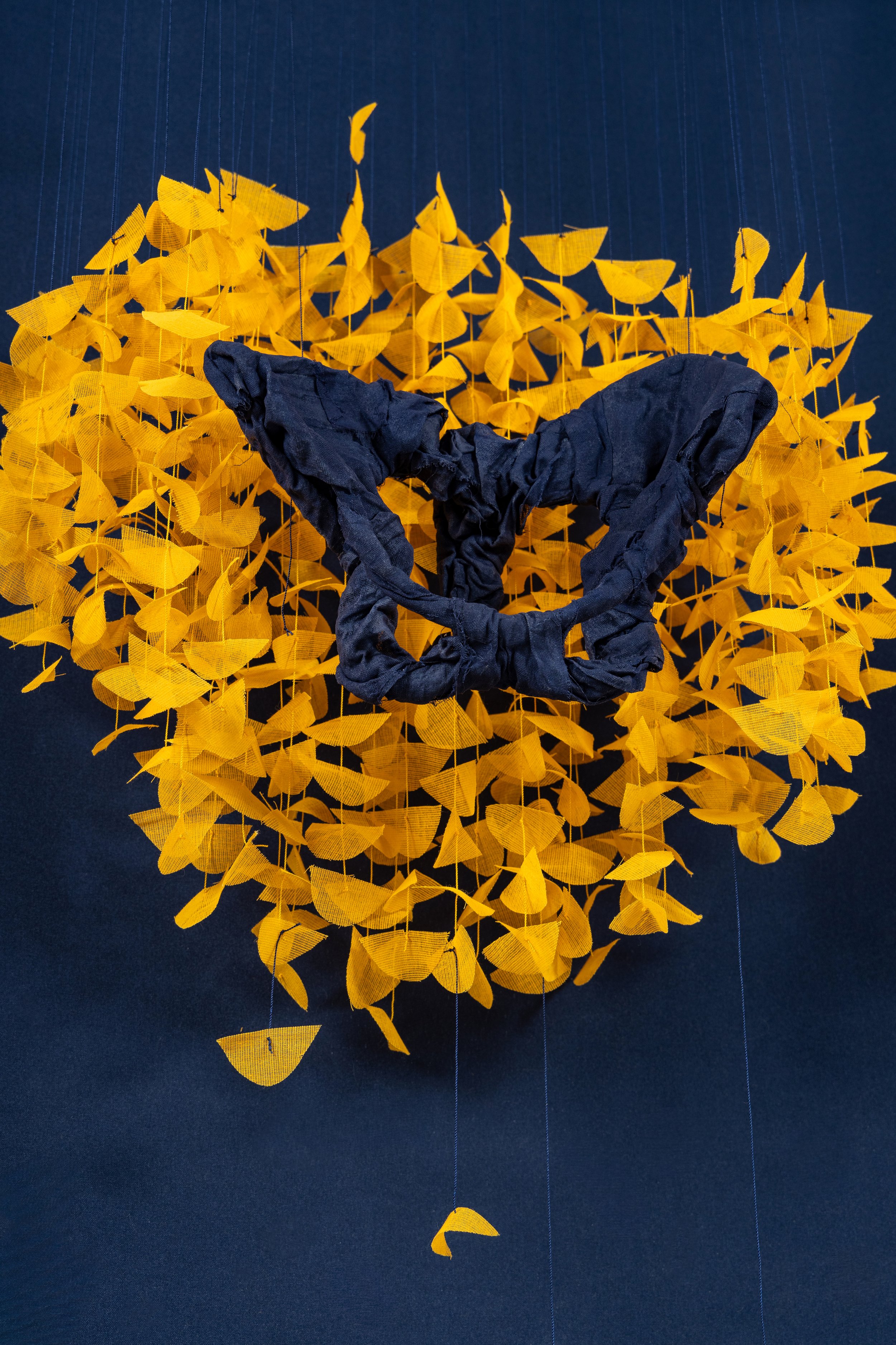 Laura Jew - Expo Tejido Pieza 6.6.jpg