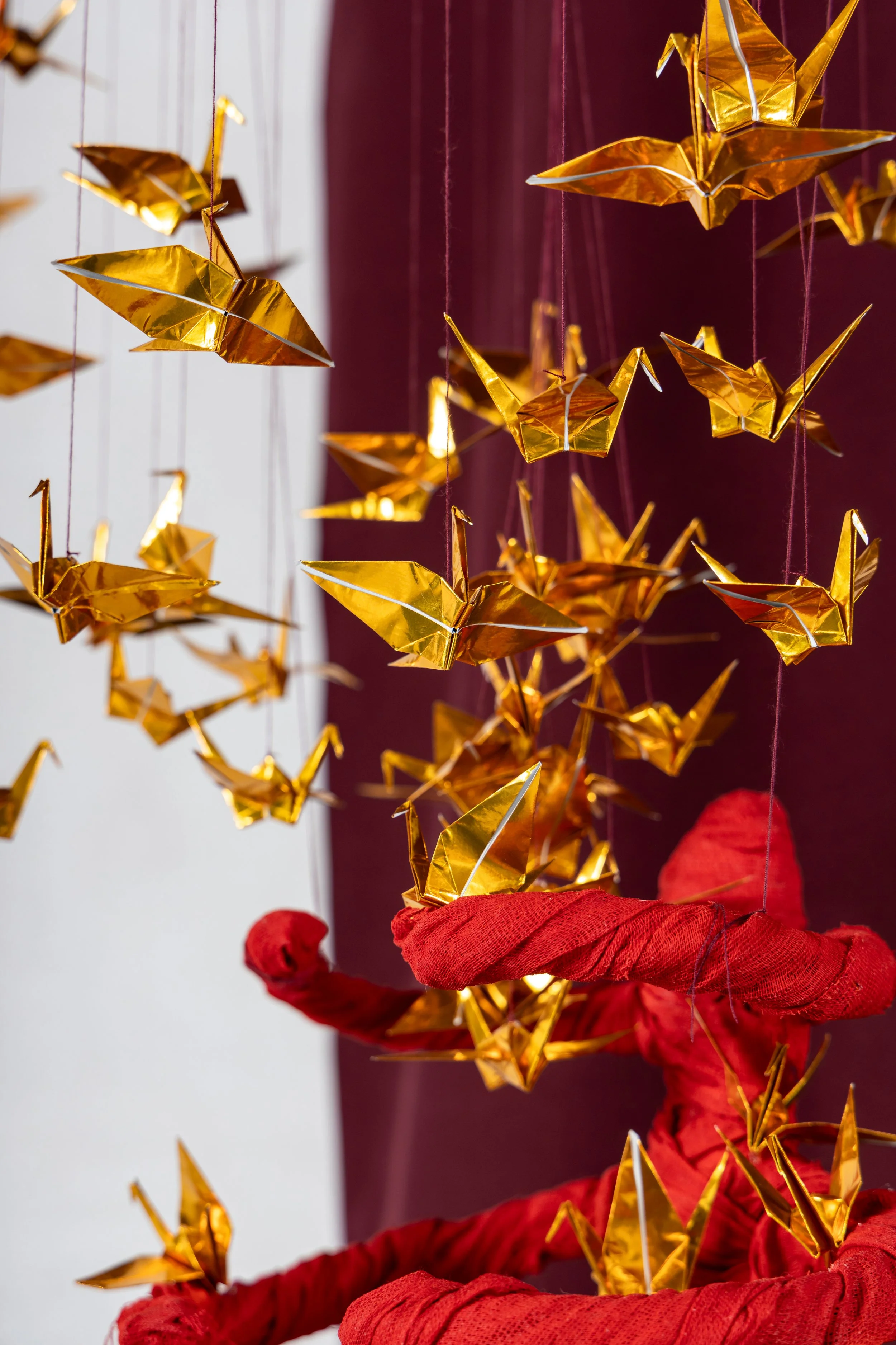 Laura Jew - Expo Tejido Pieza 5.6.jpg