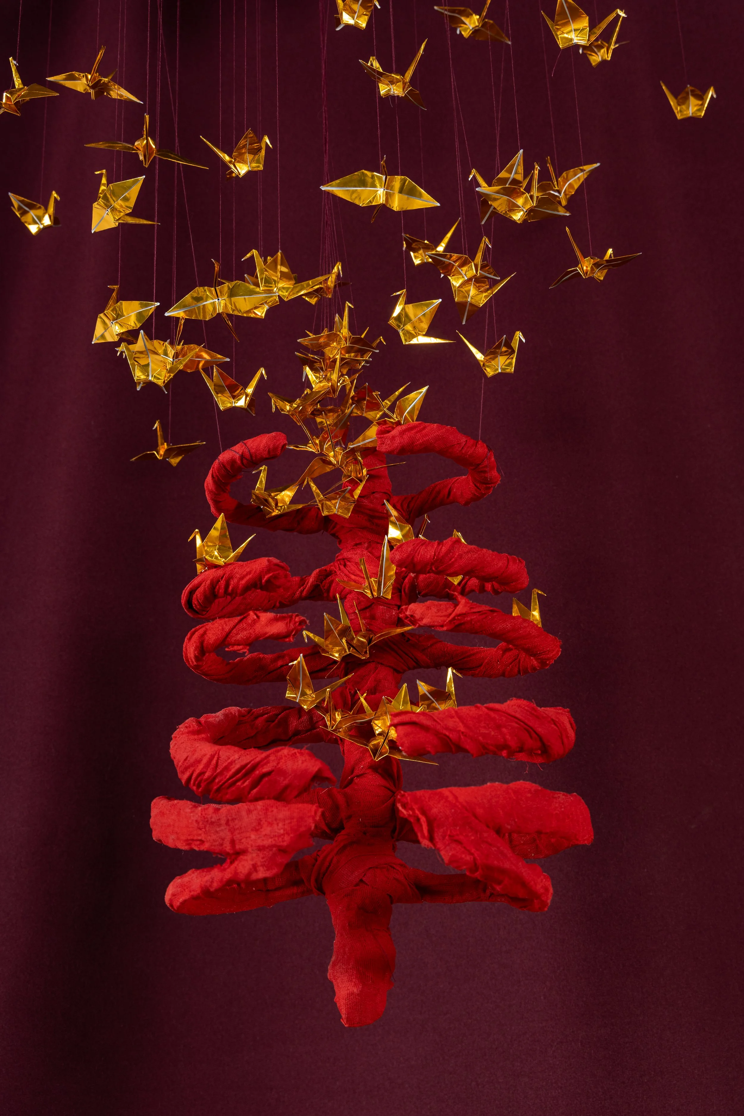 Laura Jew - Expo Tejido Pieza 5.2.jpg