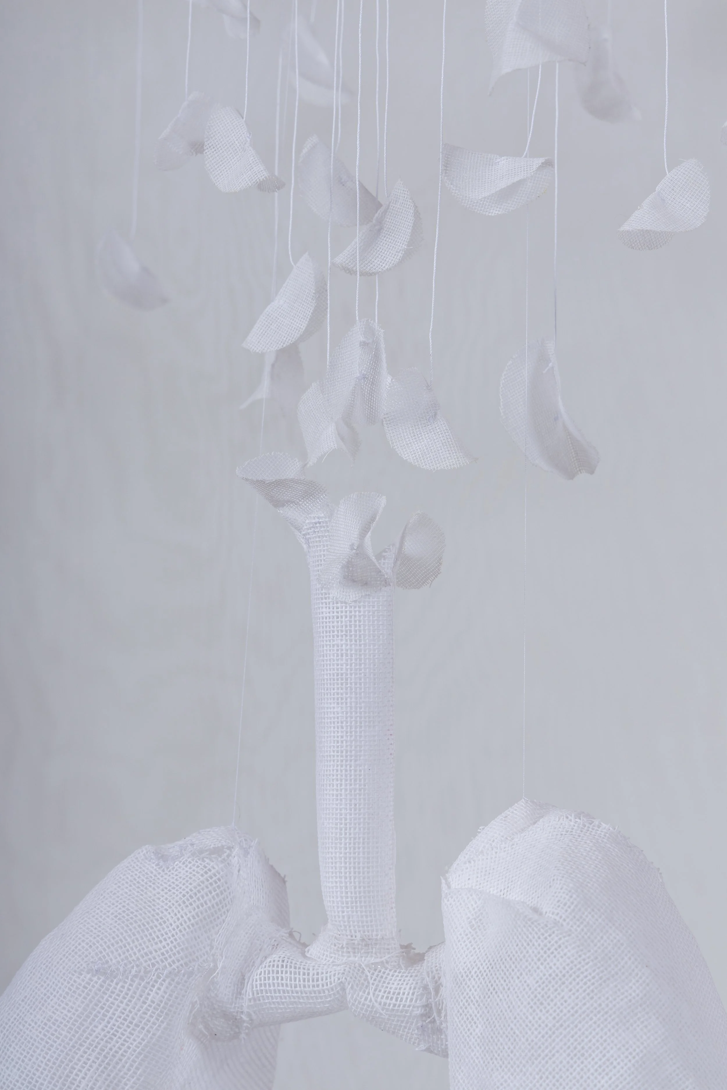 Laura Jew - Expo Tejido Pieza 7.5.jpg