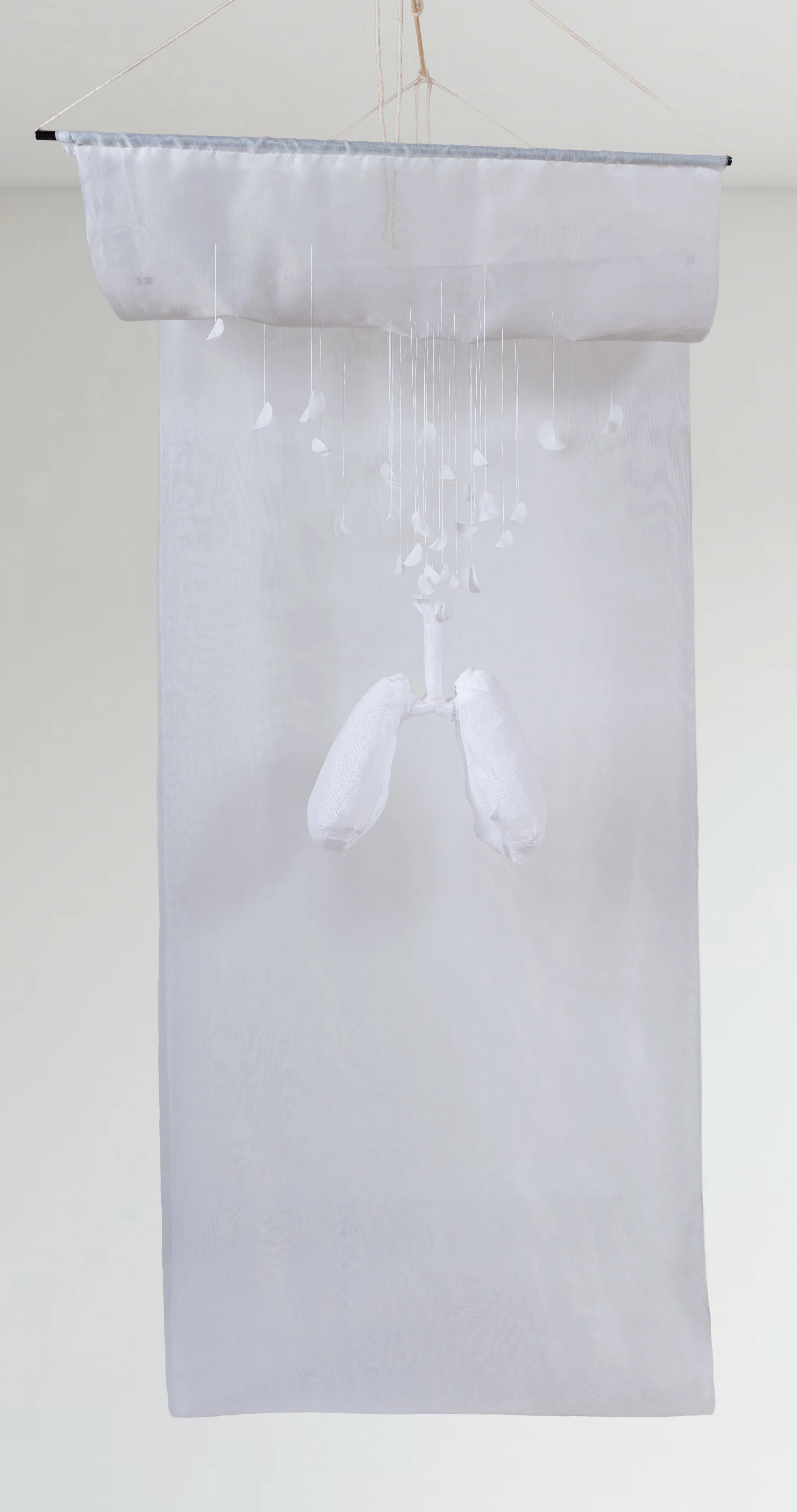 For Evelyn Cropped.jpg