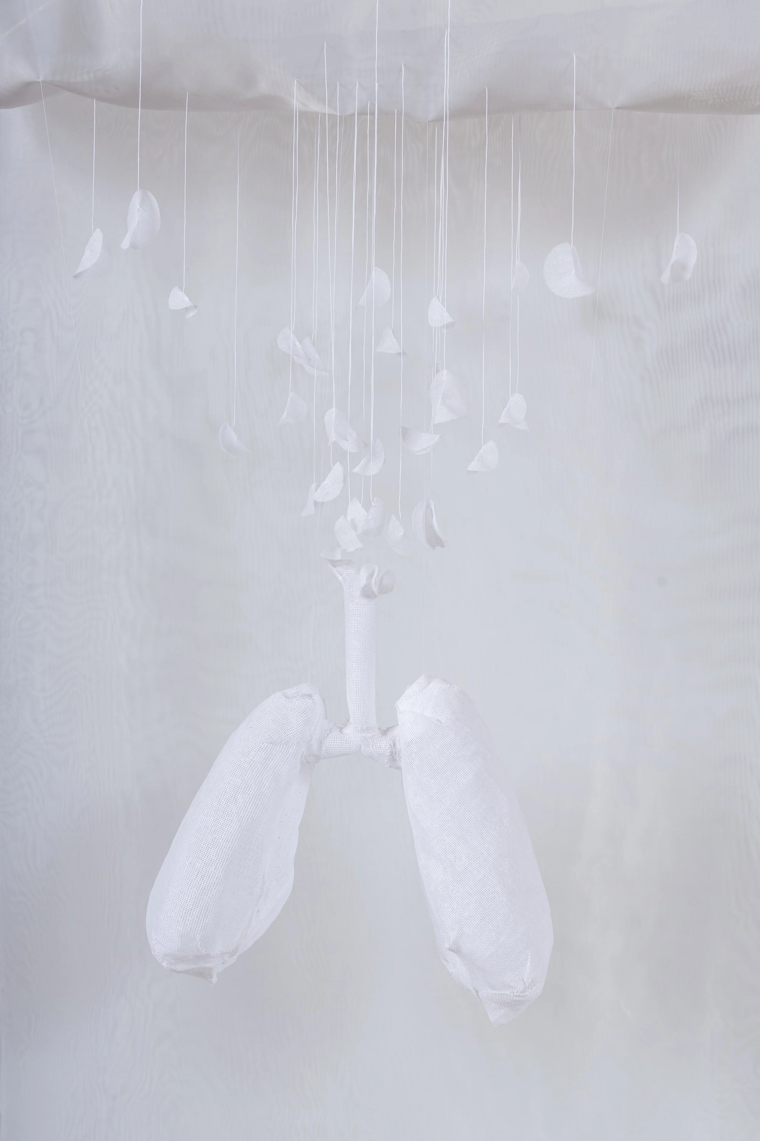 Laura Jew - Expo Tejido Pieza 7.2.jpg