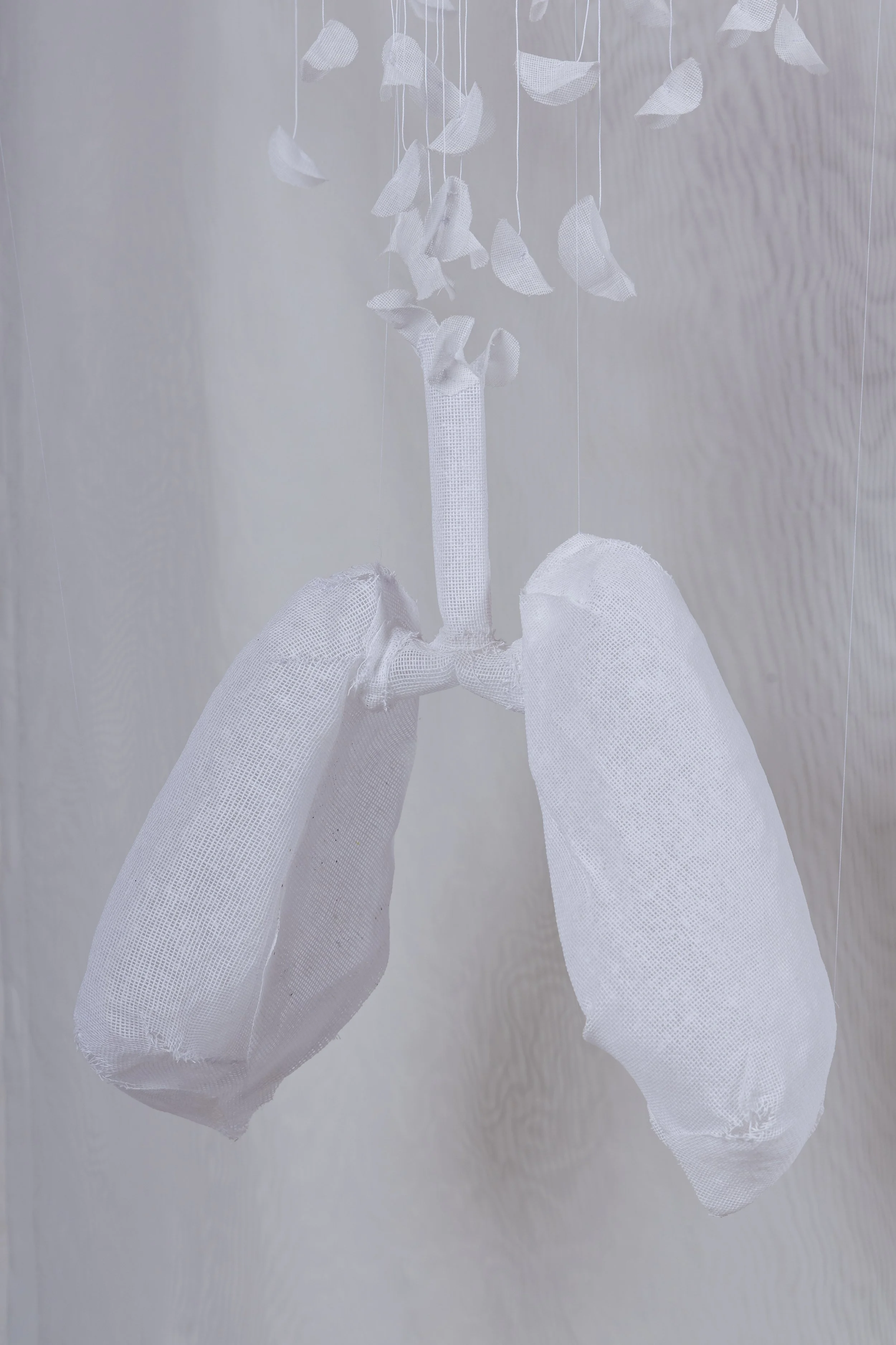 Laura Jew - Expo Tejido Pieza 7.4.jpg