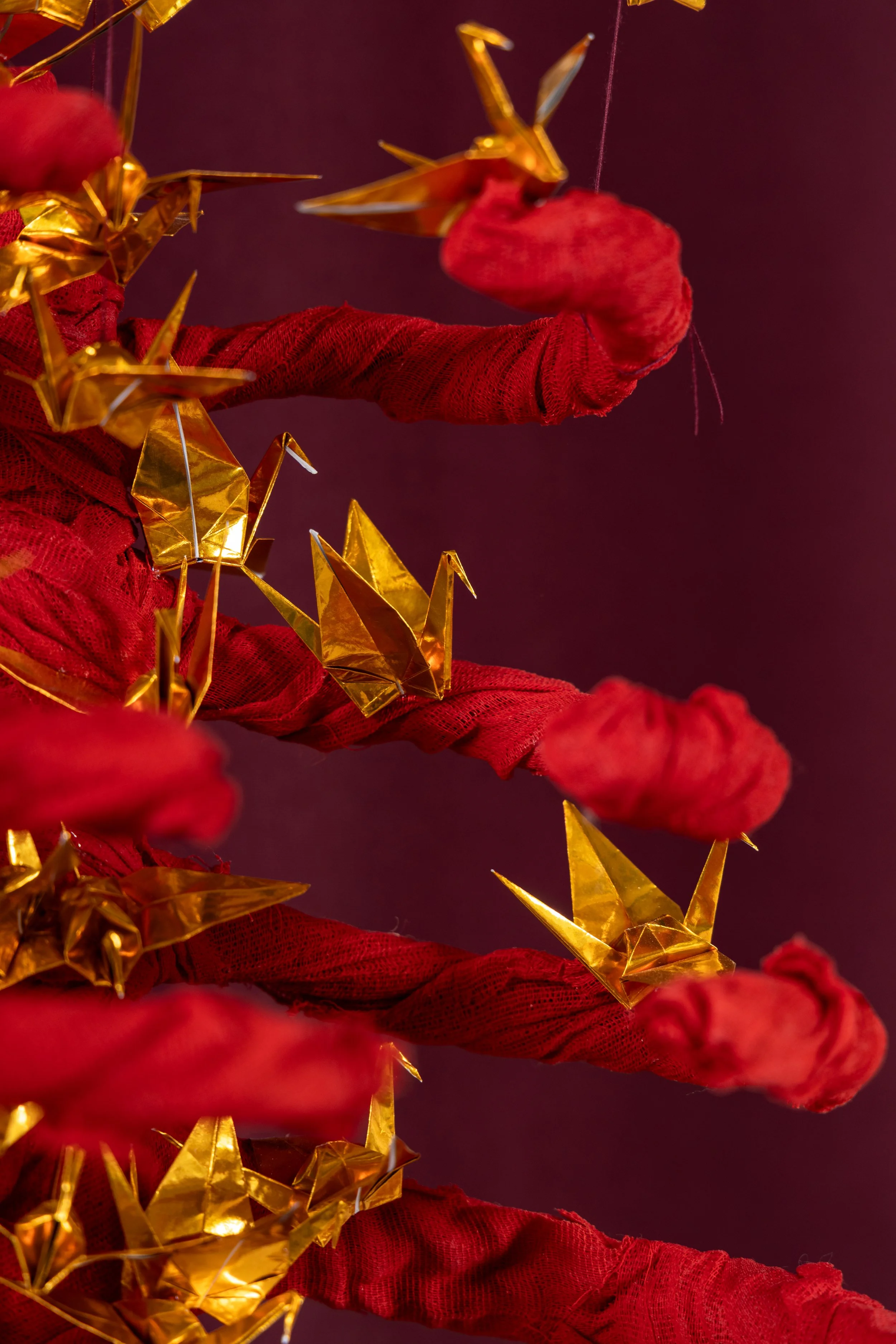 Laura Jew - Expo Tejido Pieza 5.7.jpg