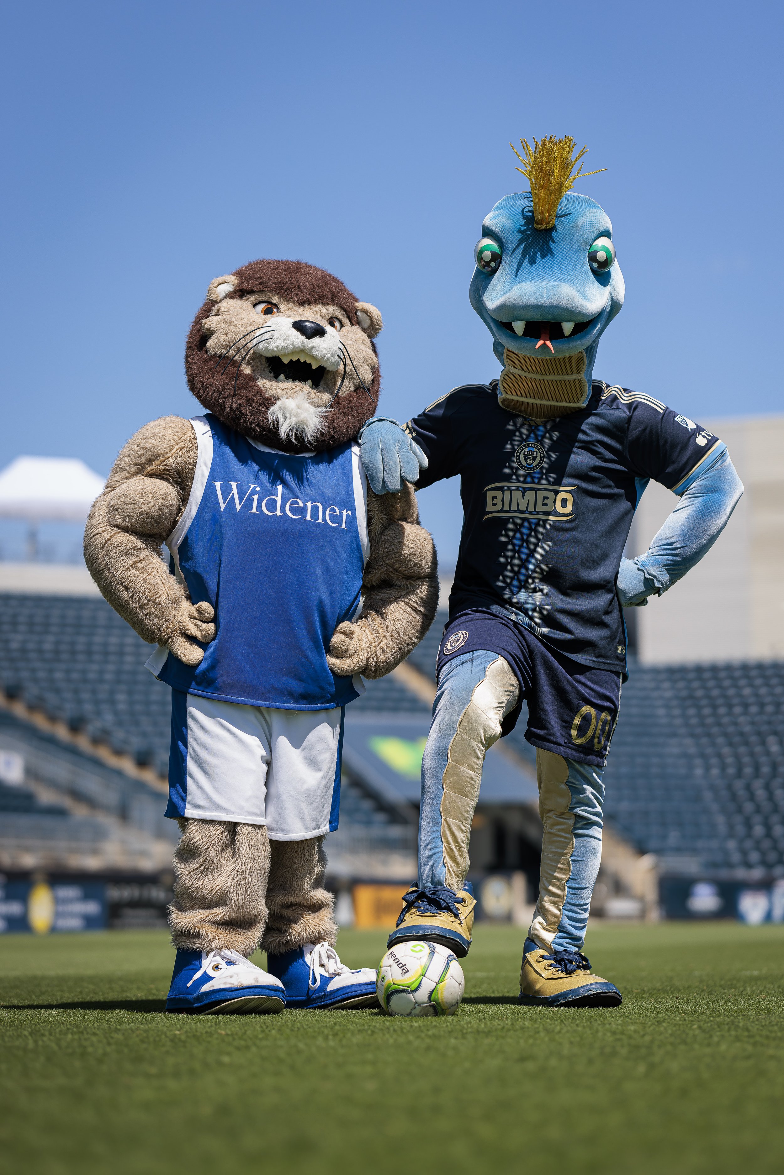 "Phang and Chester, mascots of the Philadelphia Union and Widener University, respectively, showcase their enduring partnership! As the Official University of the Philadelphia Union, Widener University and the Union have a strong bond, and Phang and