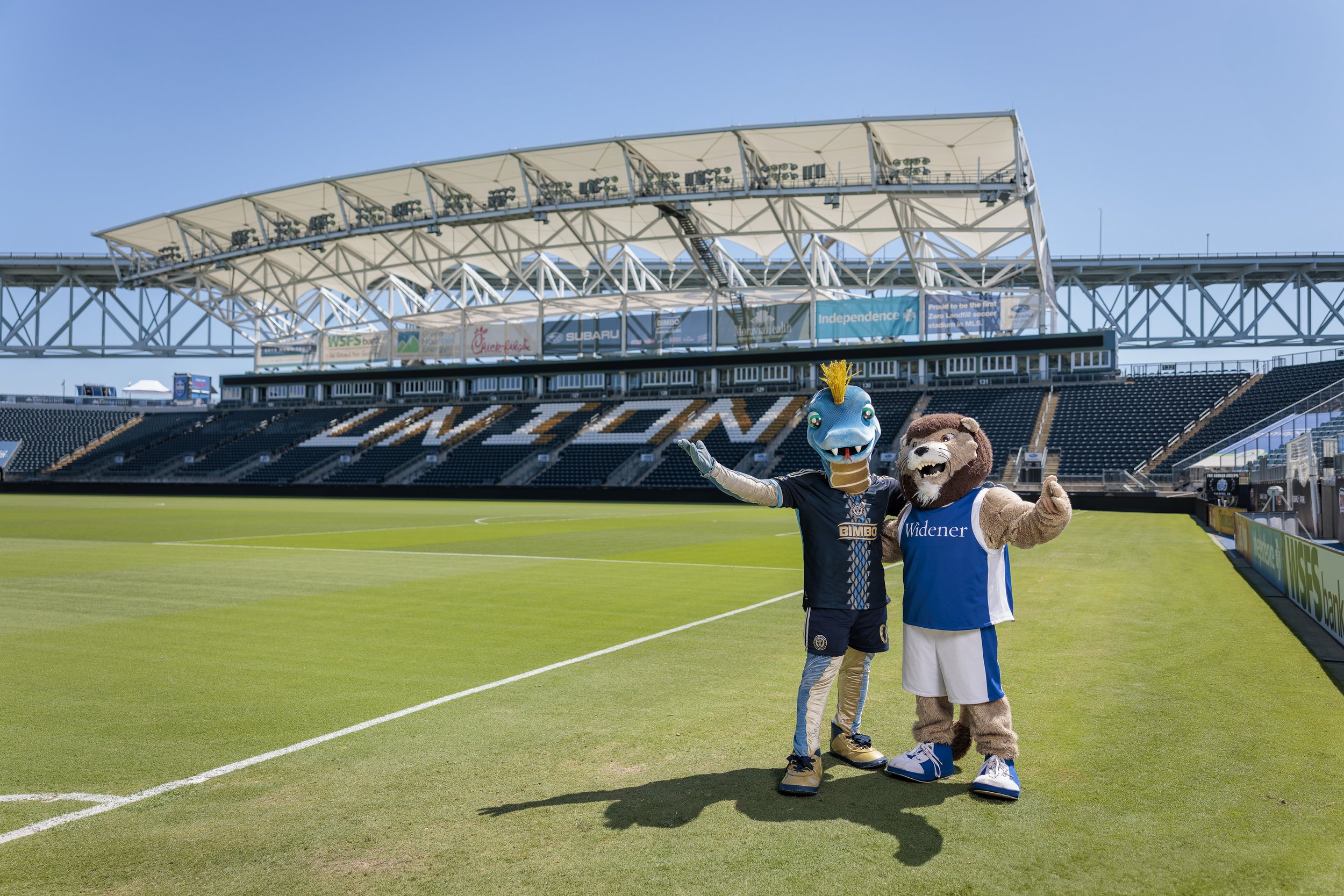 "Phang and Chester, mascots of the Philadelphia Union and Widener University, respectively, showcase their enduring partnership! As the Official University of the Philadelphia Union, Widener University and the Union have a strong bond, and Phang and
