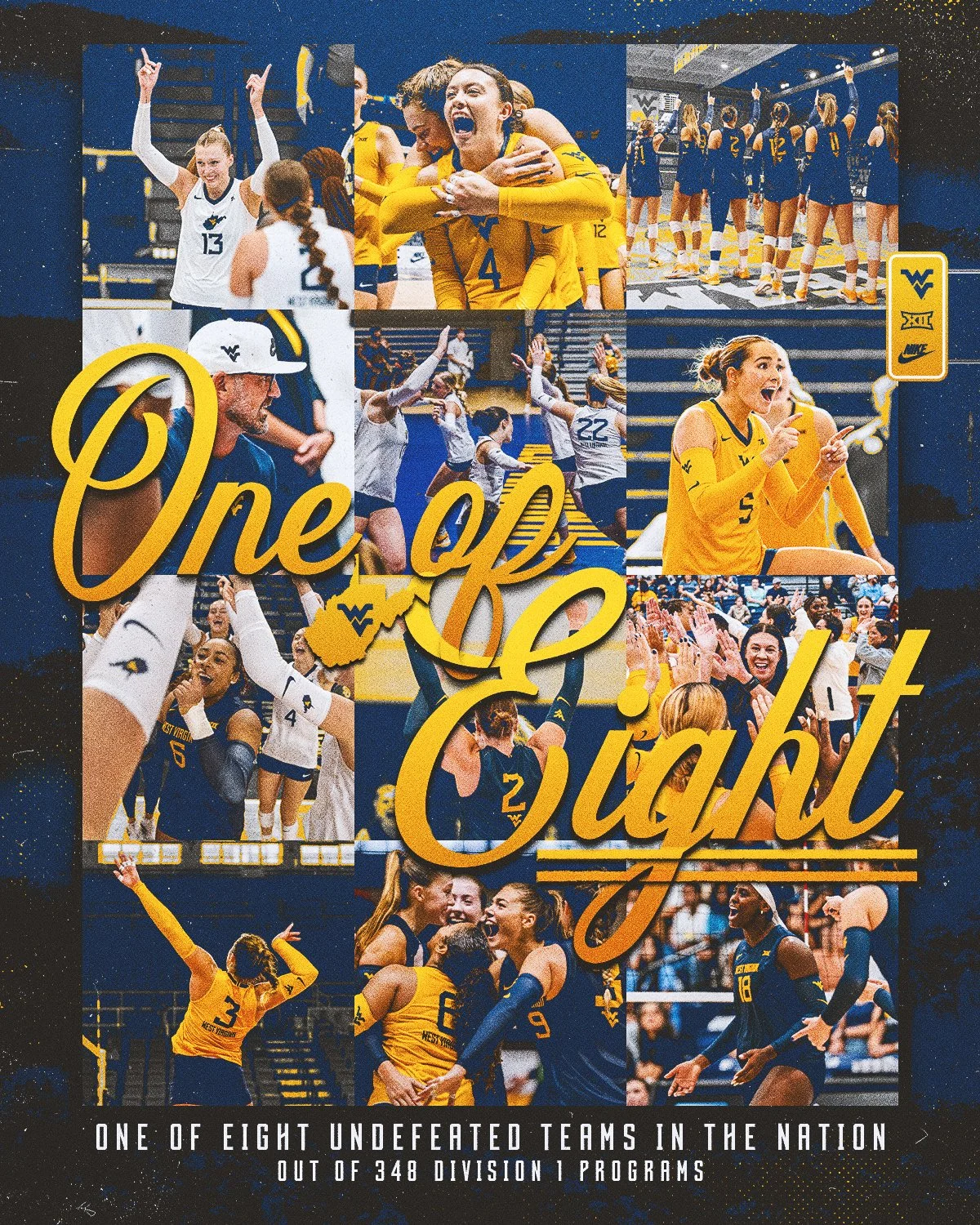 VBALL_Undefeated_4x5_gold_4.jpg