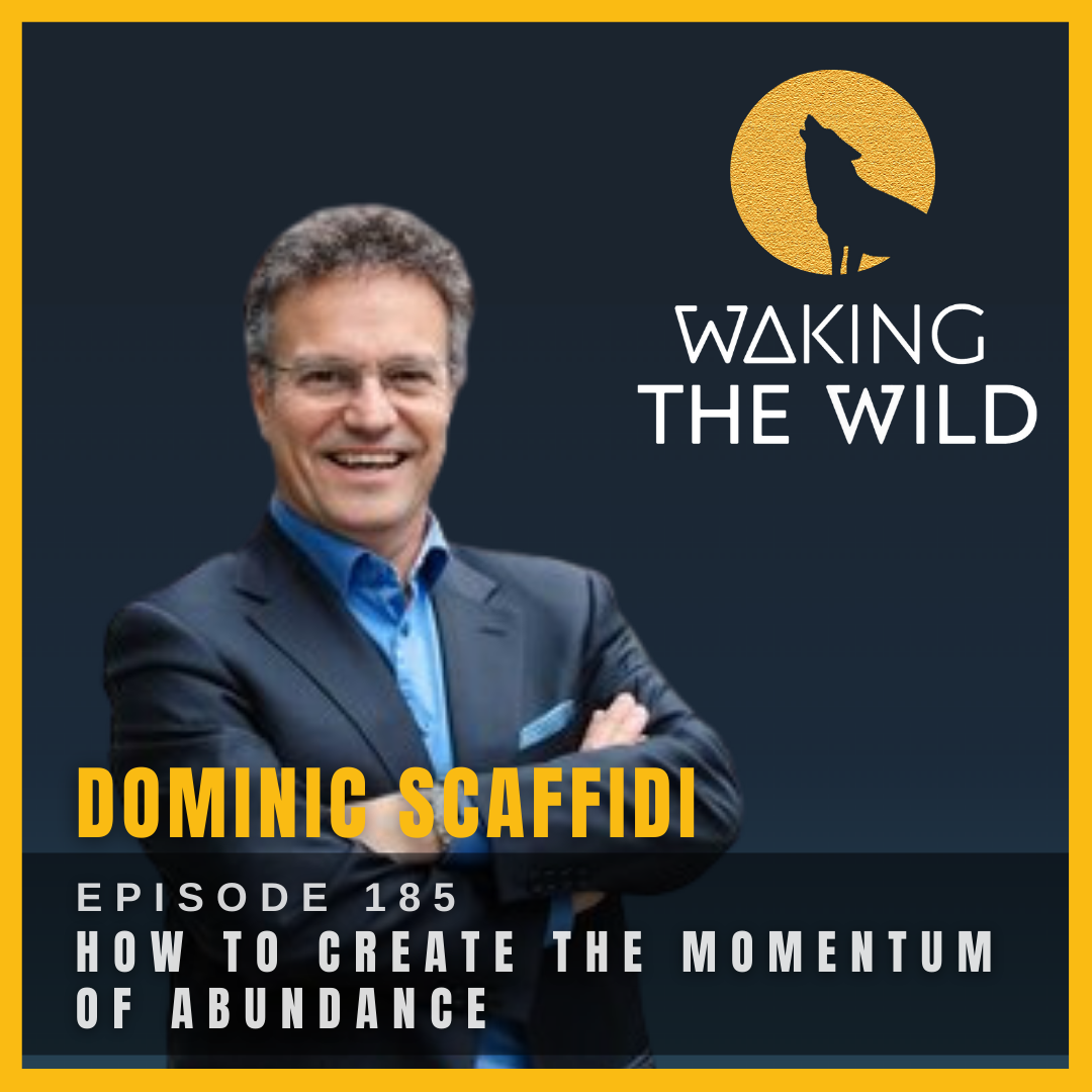 How to create the momentum of abundance