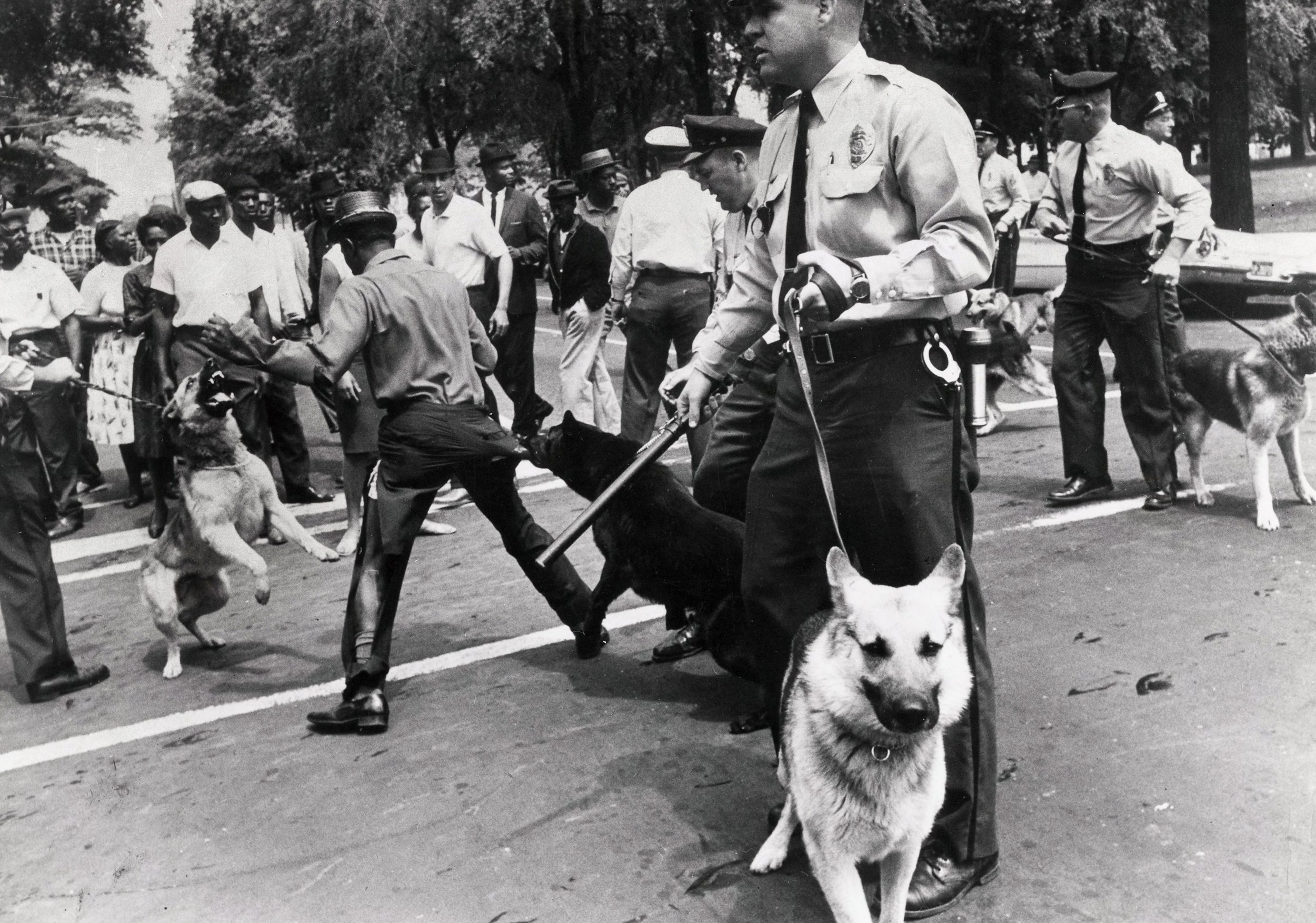 Black History Embodied