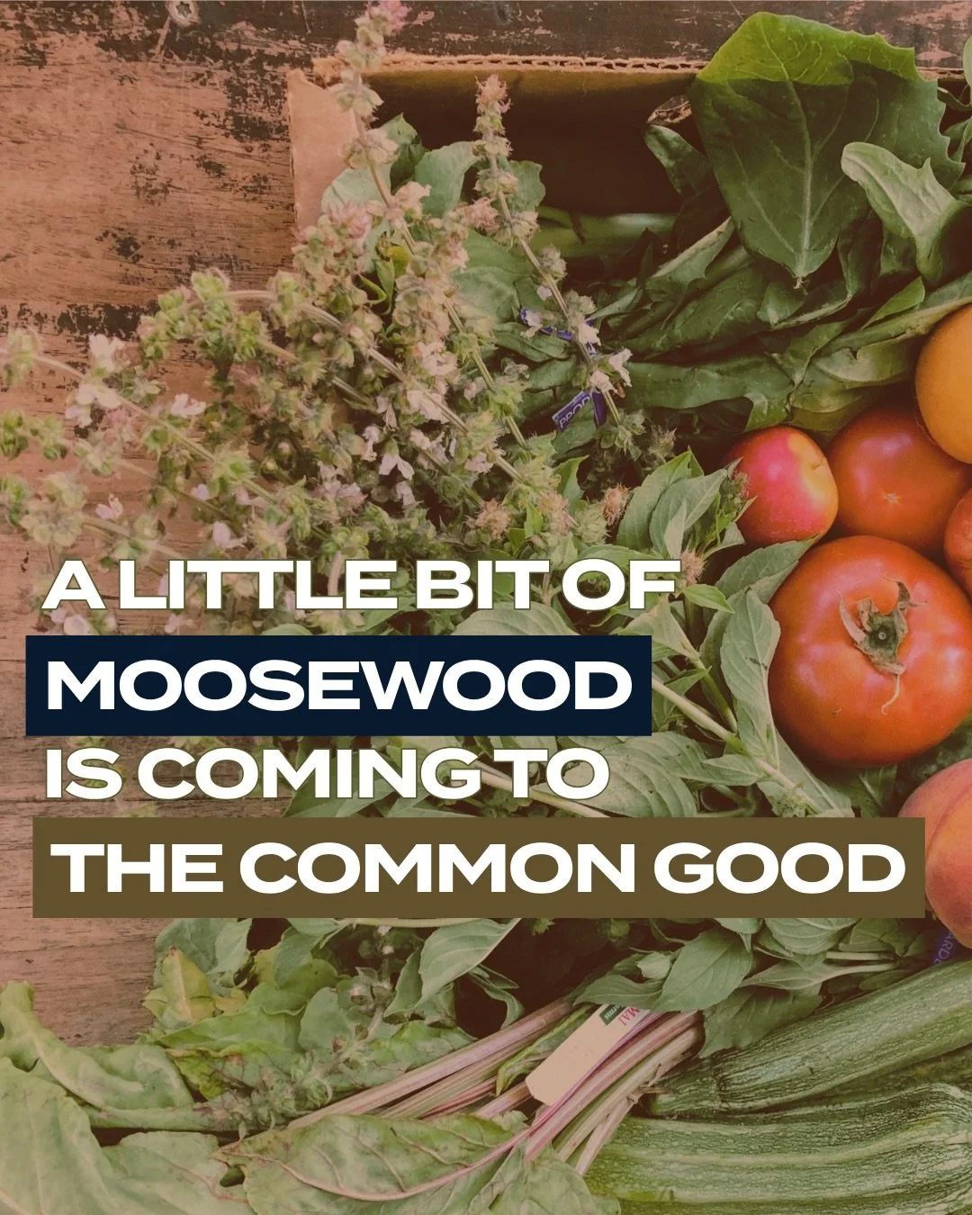 Books. Cocktails. Tasty bites. Moosewood! 

We got your October 10th plans all taken care of 😊

#Moosewood #Catskills #HudsonValley #BookEvents #FoodAndBooks