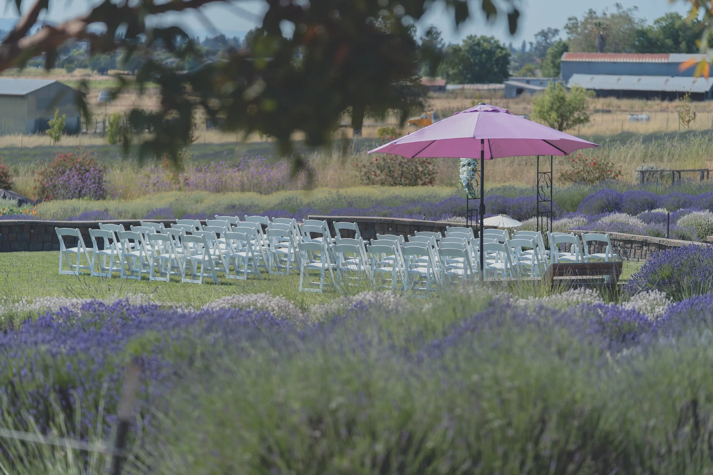 Bride and groom walking together through the venue grounds at their Sonoma wedding.