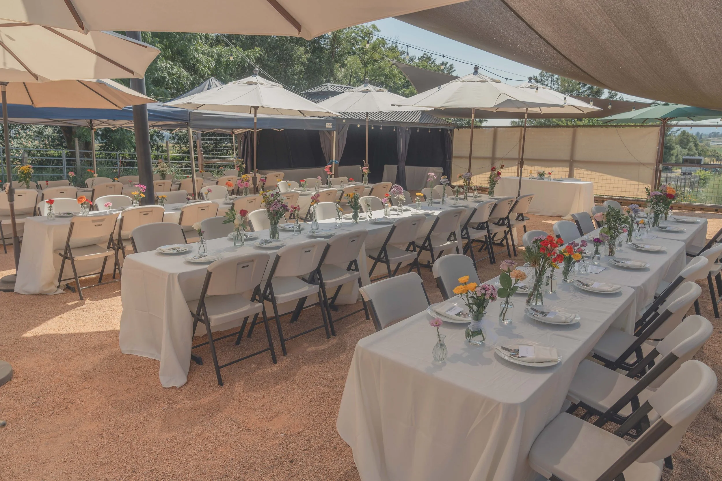 Outdoor wedding environment captured at a Sonoma venue.
