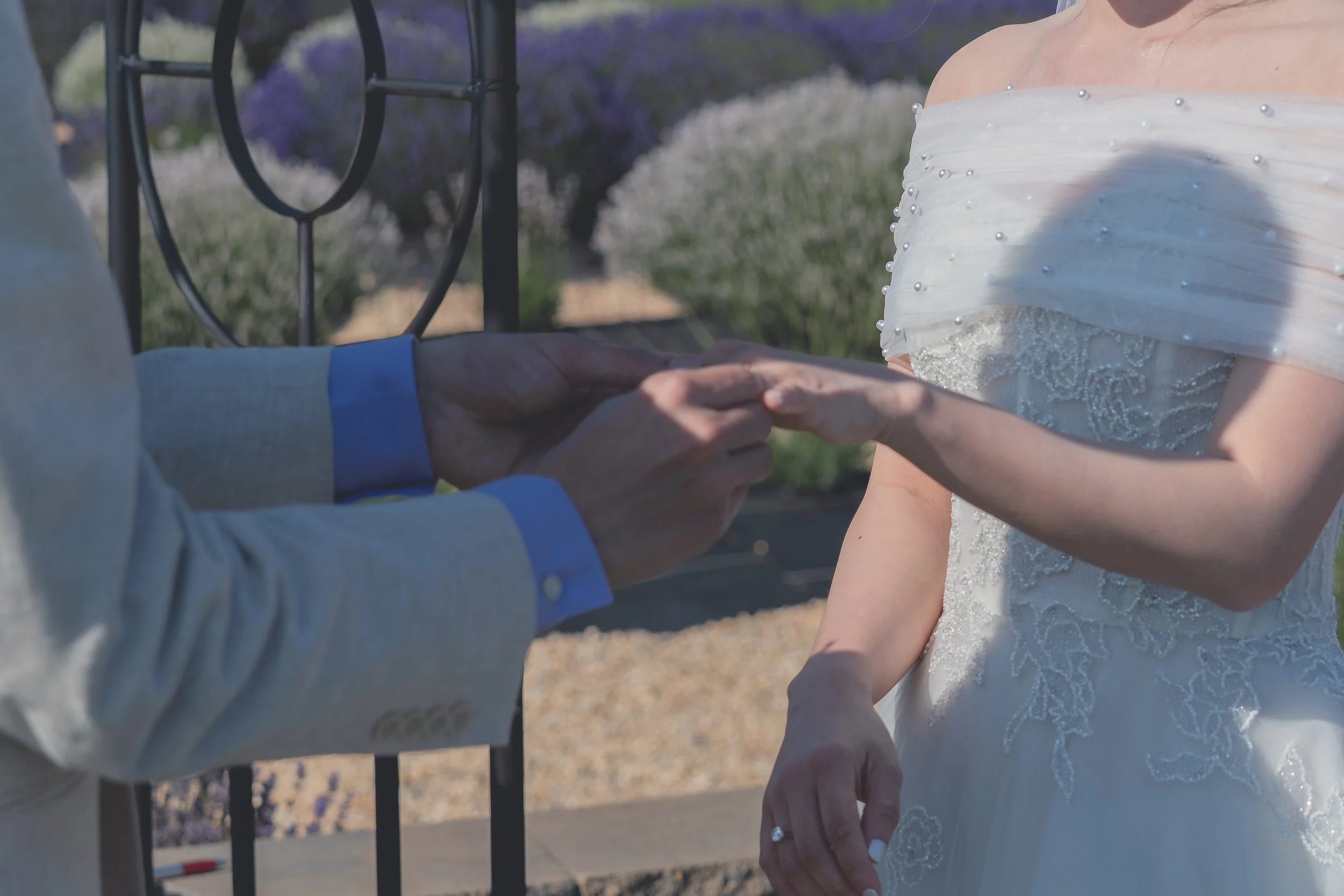 Bride placing the wedding ring on the groom’s hand at Katherine and Calvin’s Sonoma wedding.
