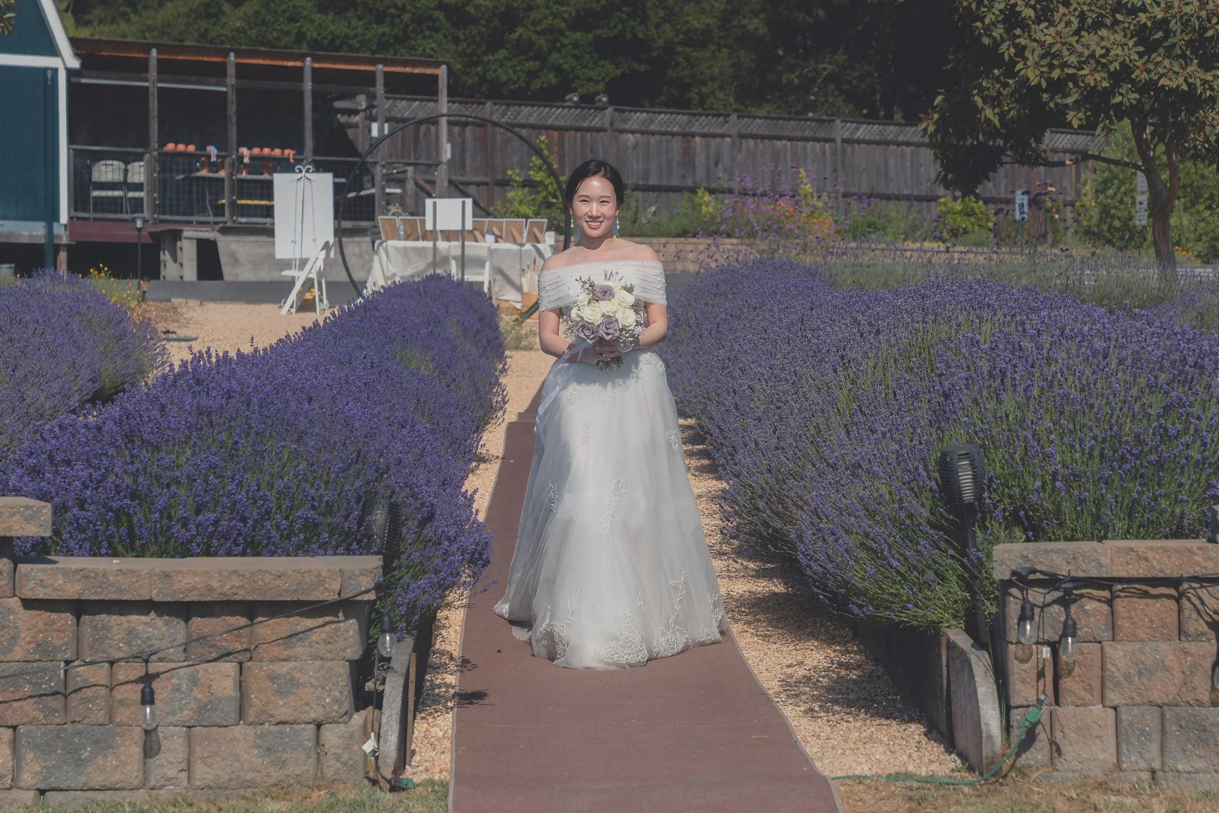 Bride beginning her walk down the aisle framed by lavender fields in Sonoma.