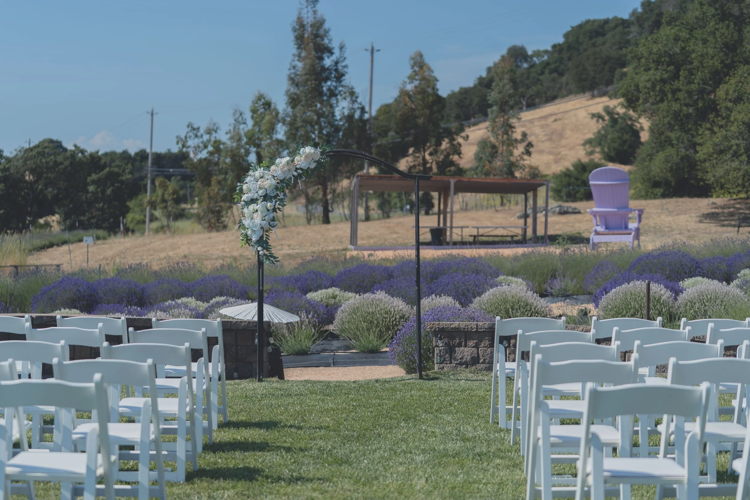 Wide view of the ceremony seating arranged in California wine country.