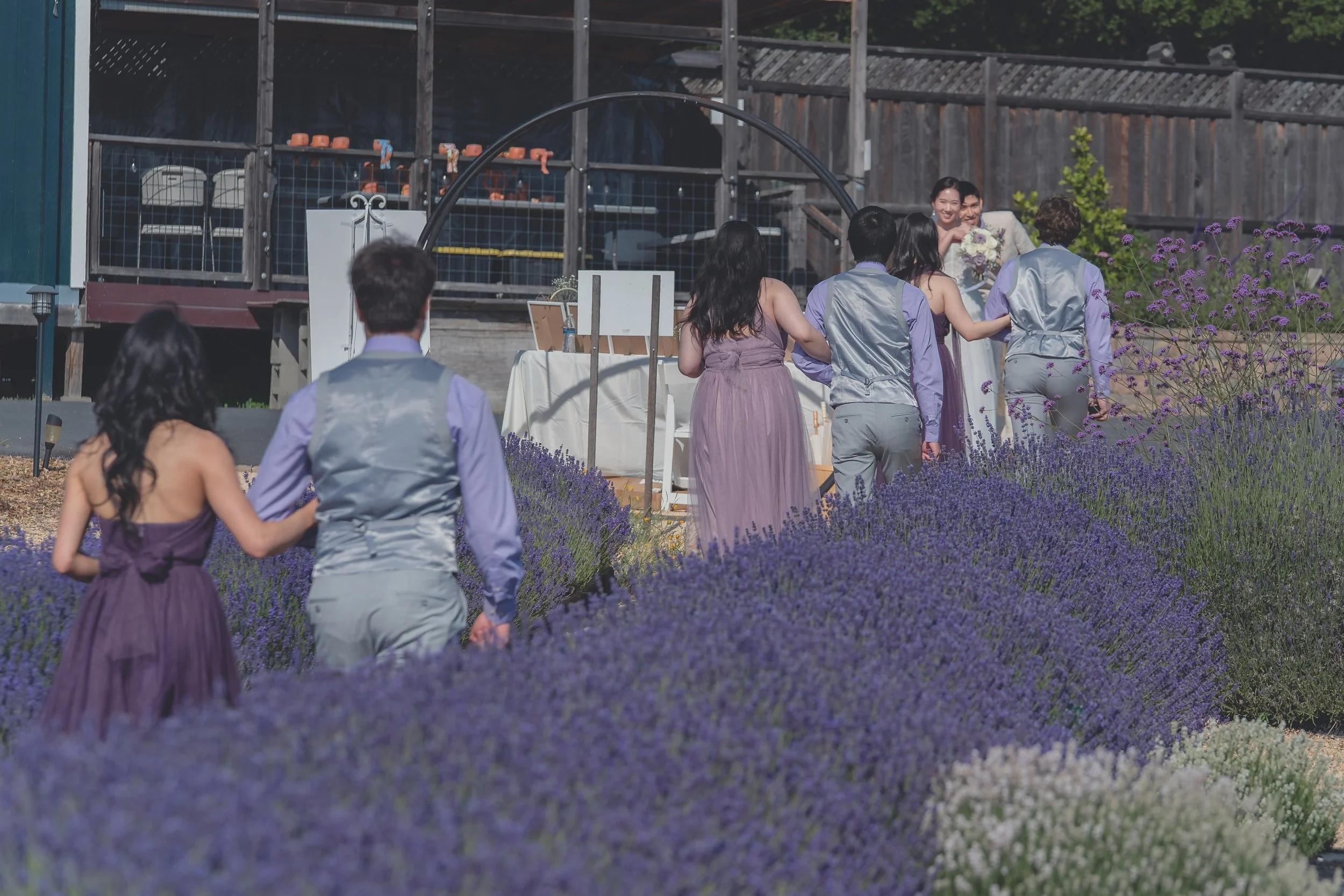Wedding guests gathering and celebrating after the ceremony in California wine country.