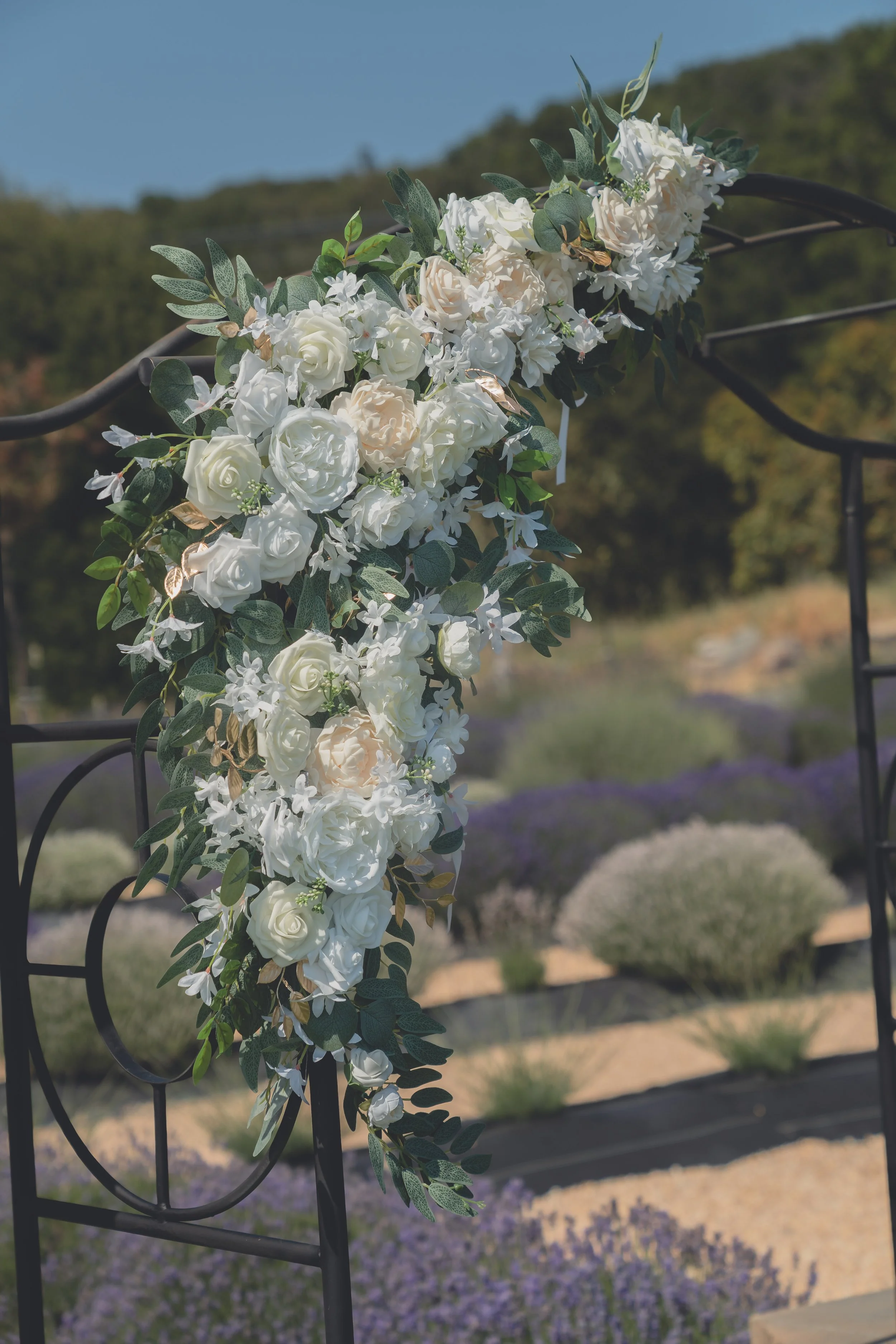 California wine country environment photographed during a Sonoma wedding day.
