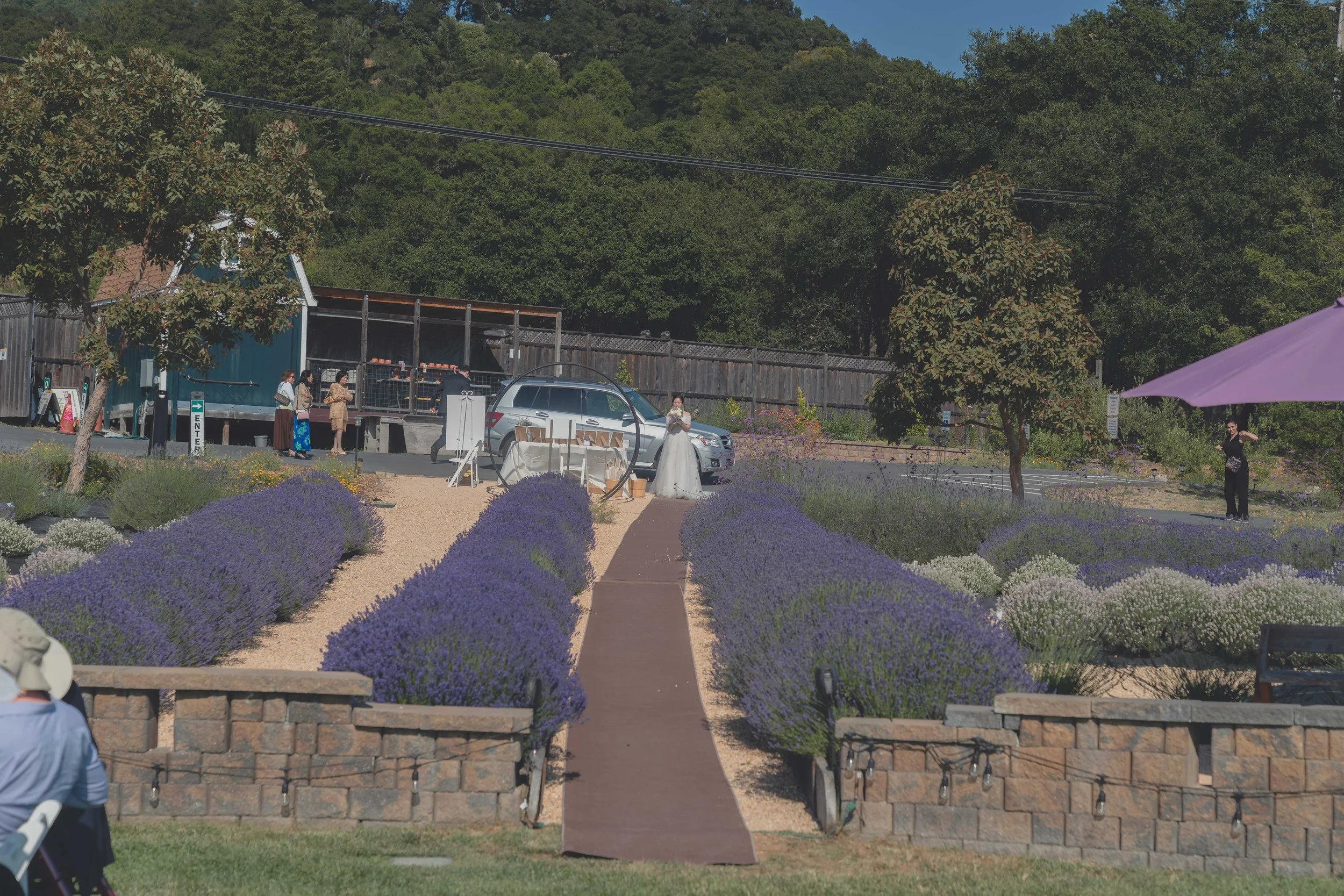 Ceremony aisle moments before the bride enters at a Sonoma wedding.