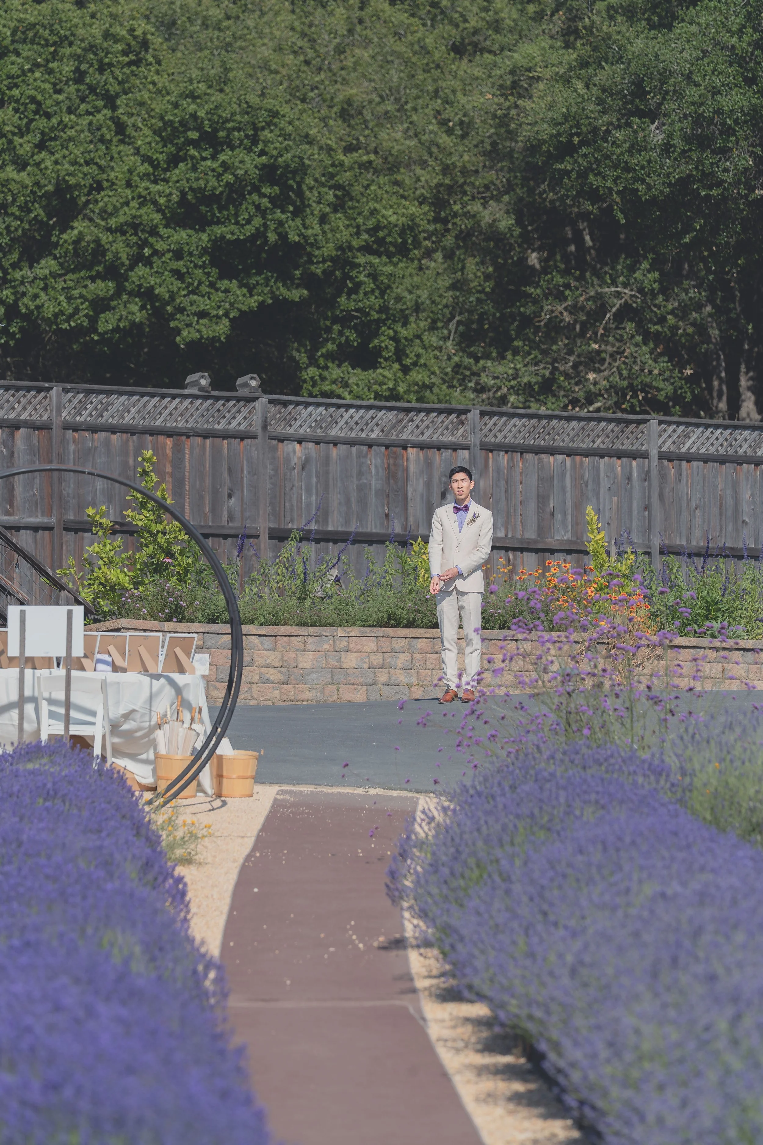 Ceremony aisle framed by lavender fields at a Sonoma wedding venue.