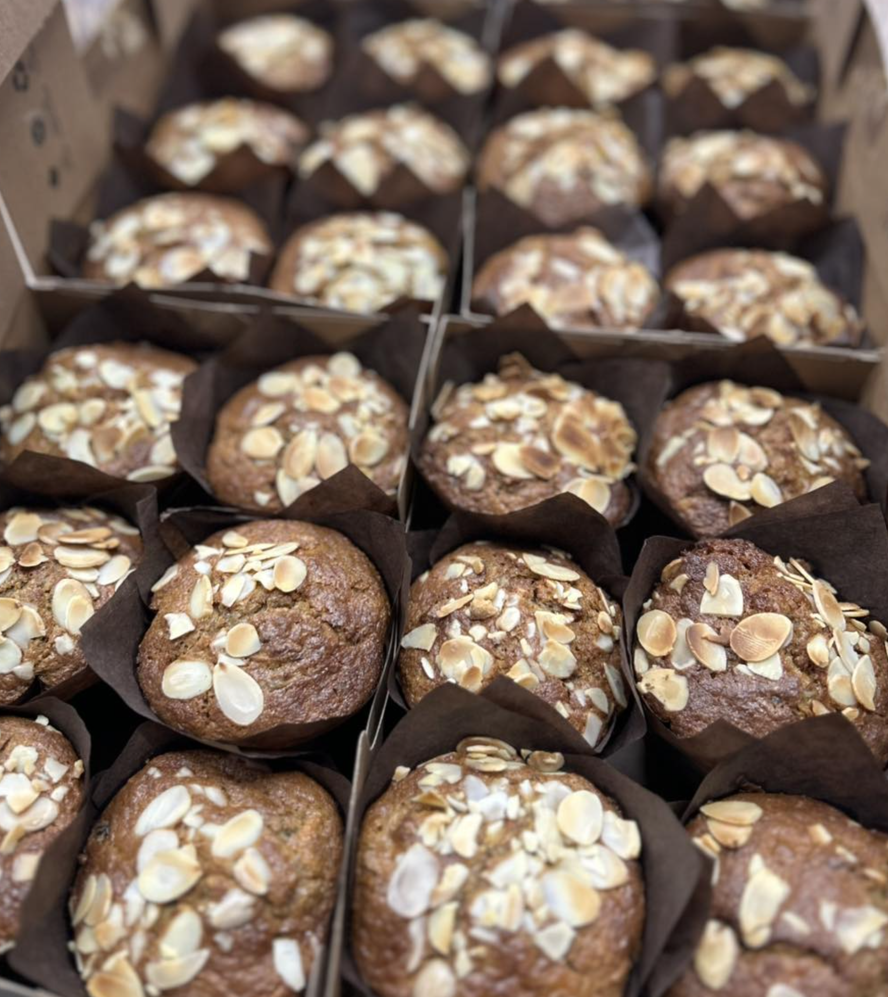 Capture d’écran, le 2025-09-18 à 09.48.14.png