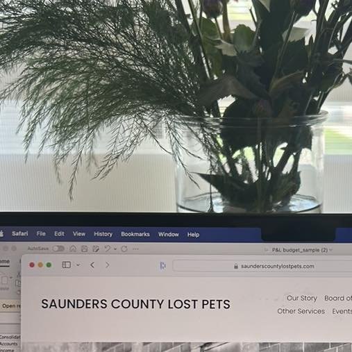 Saunders County Lost Pets website is updated and back online!