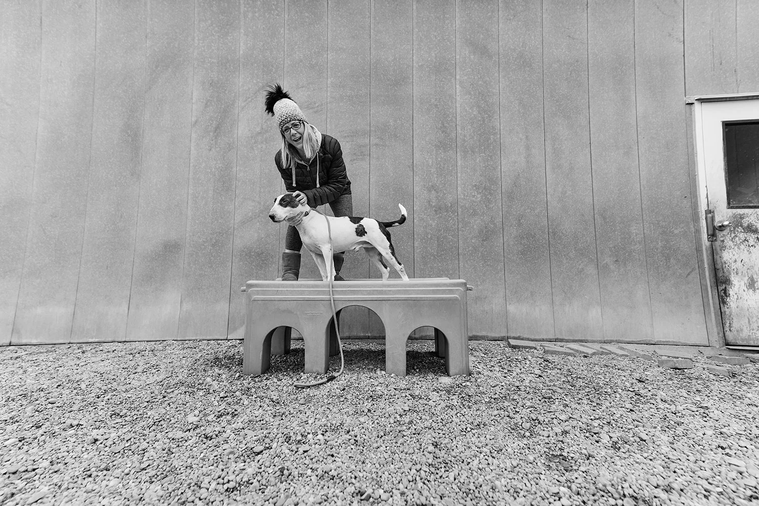 Other Services SAUNDERS COUNTY LOST PETS other-services-saunders-county-lost-pets