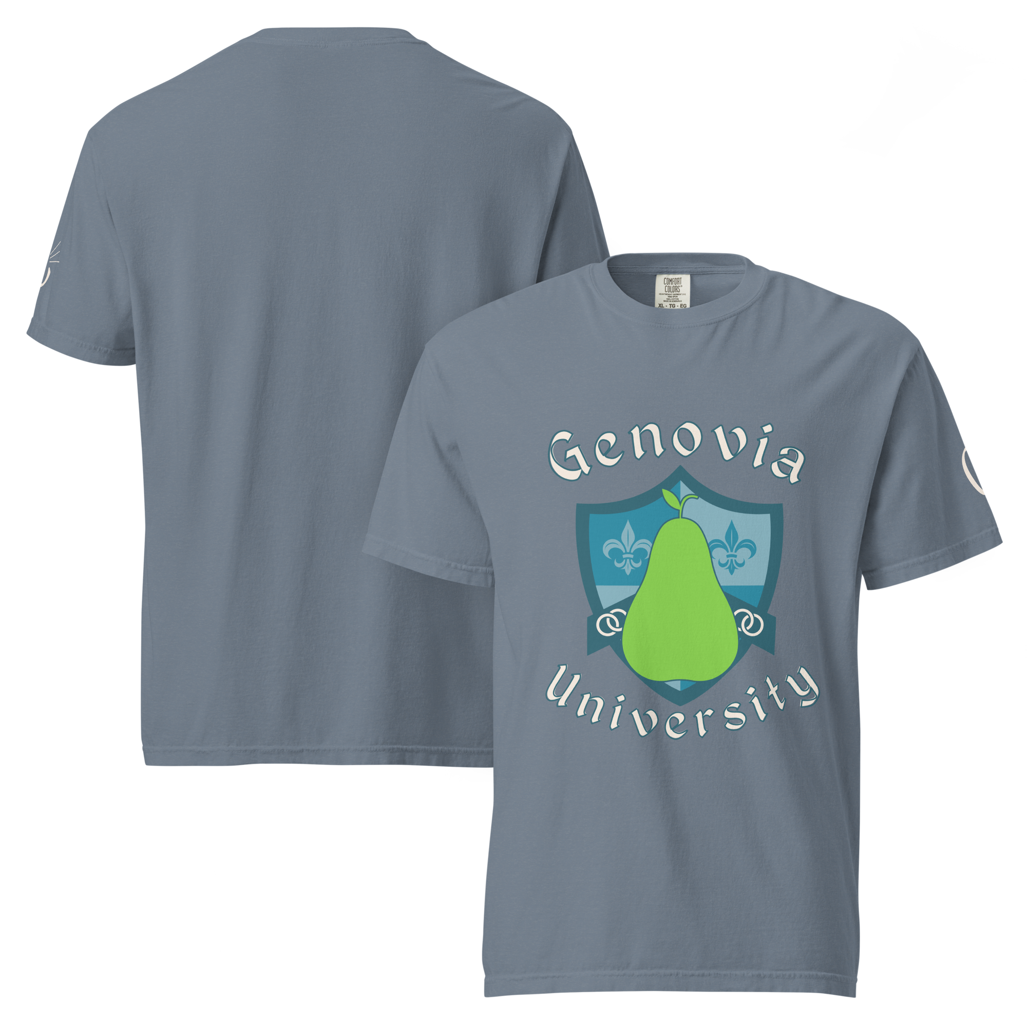 unisex-garment-dyed-heavyweight-t-shirt-blue-jean-front-and-back-687eb5501d017.png