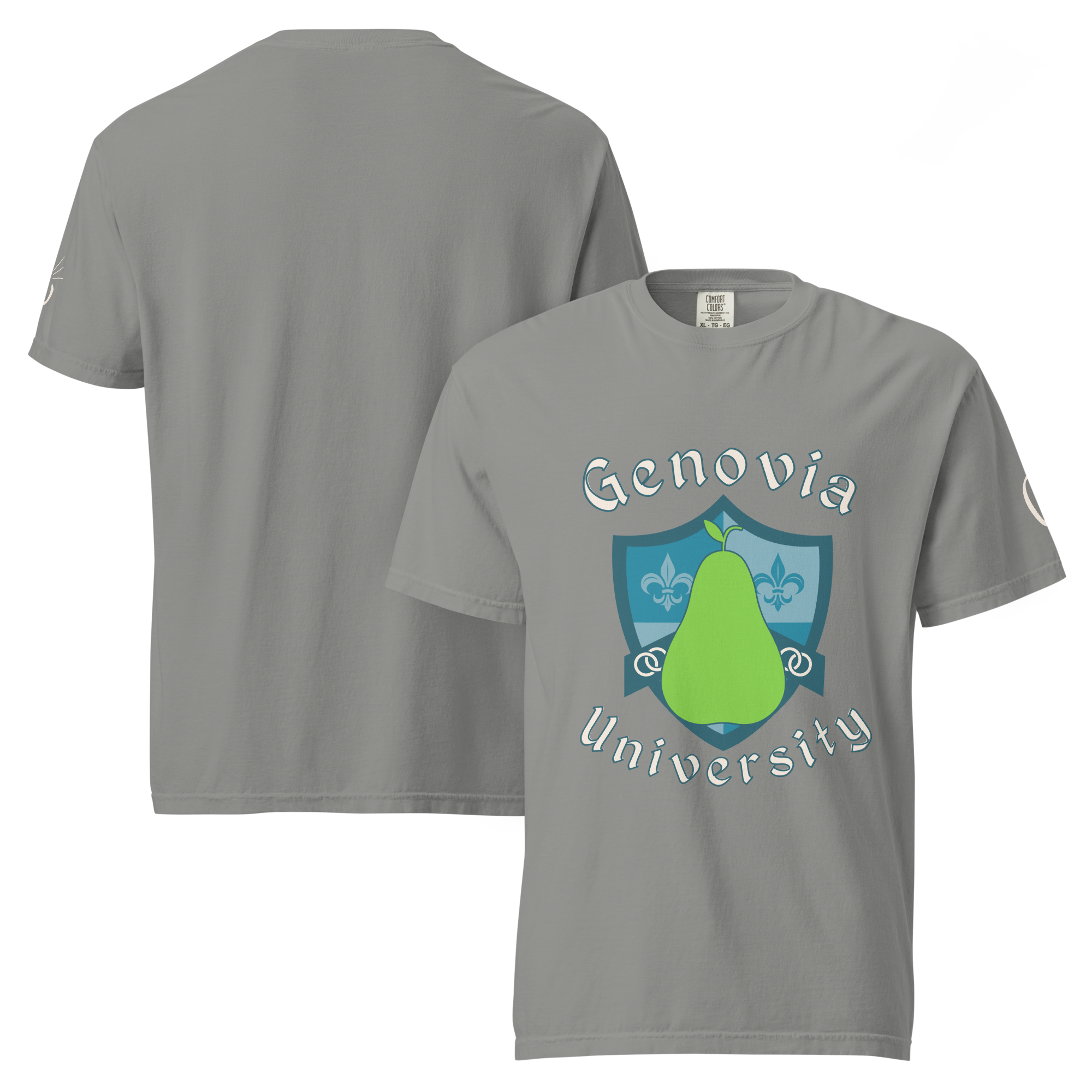 unisex-garment-dyed-heavyweight-t-shirt-grey-front-and-back-687eb5501ea44.png
