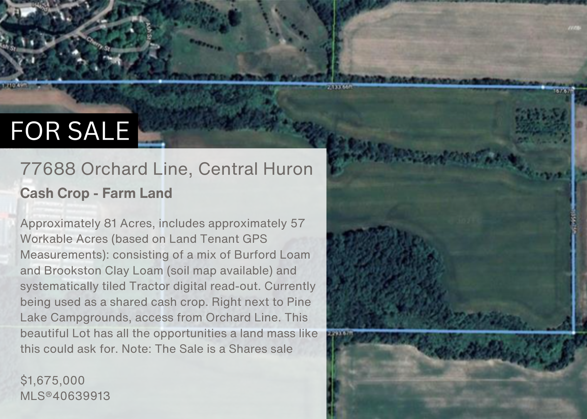 Website, Orchard Line.png