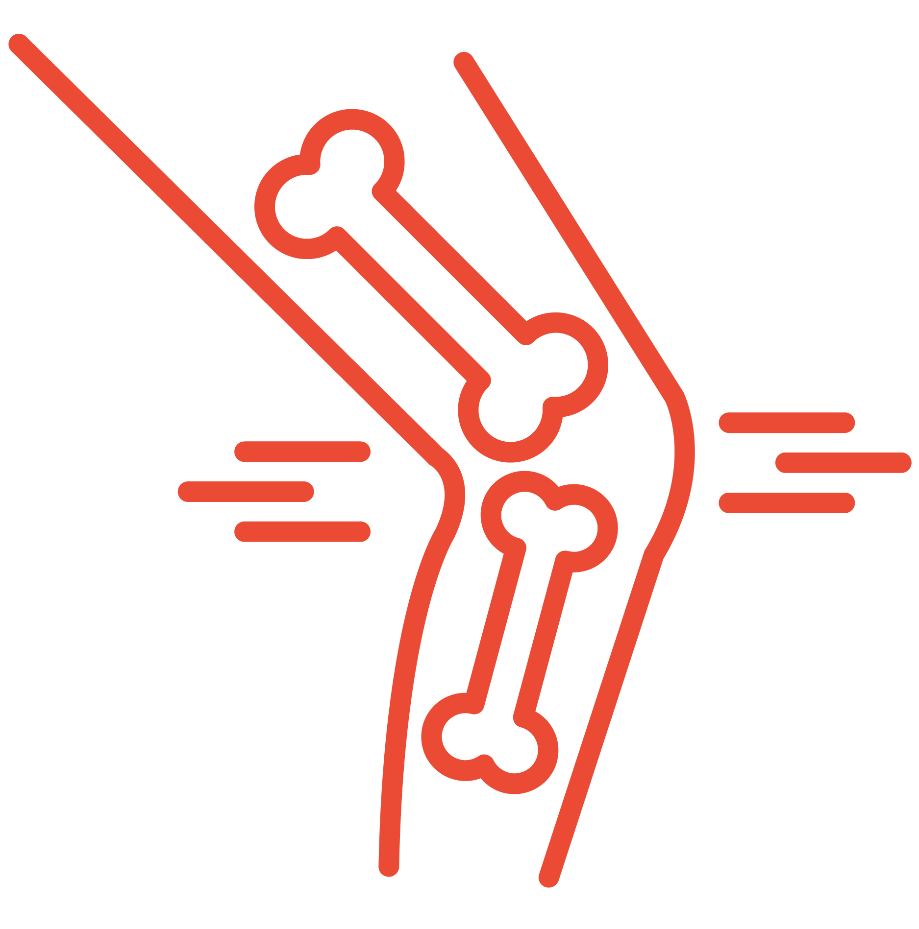 noun-orthopedics-5180017-01.png