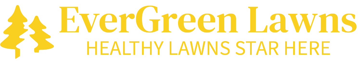 EverGreen Lawns