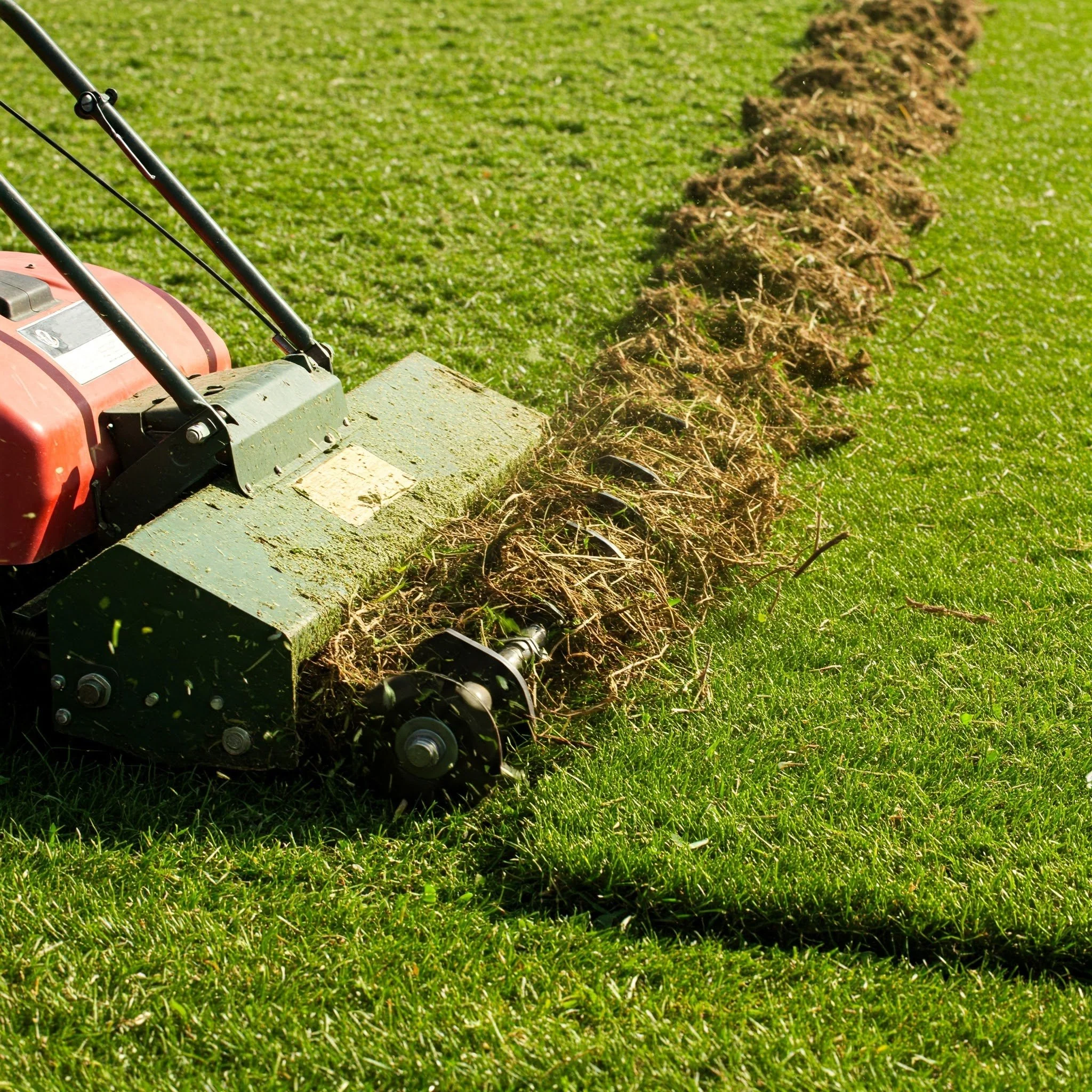 A Toro lawn mower cutting grass with clippings accumulating in the mower's debris catcher.
