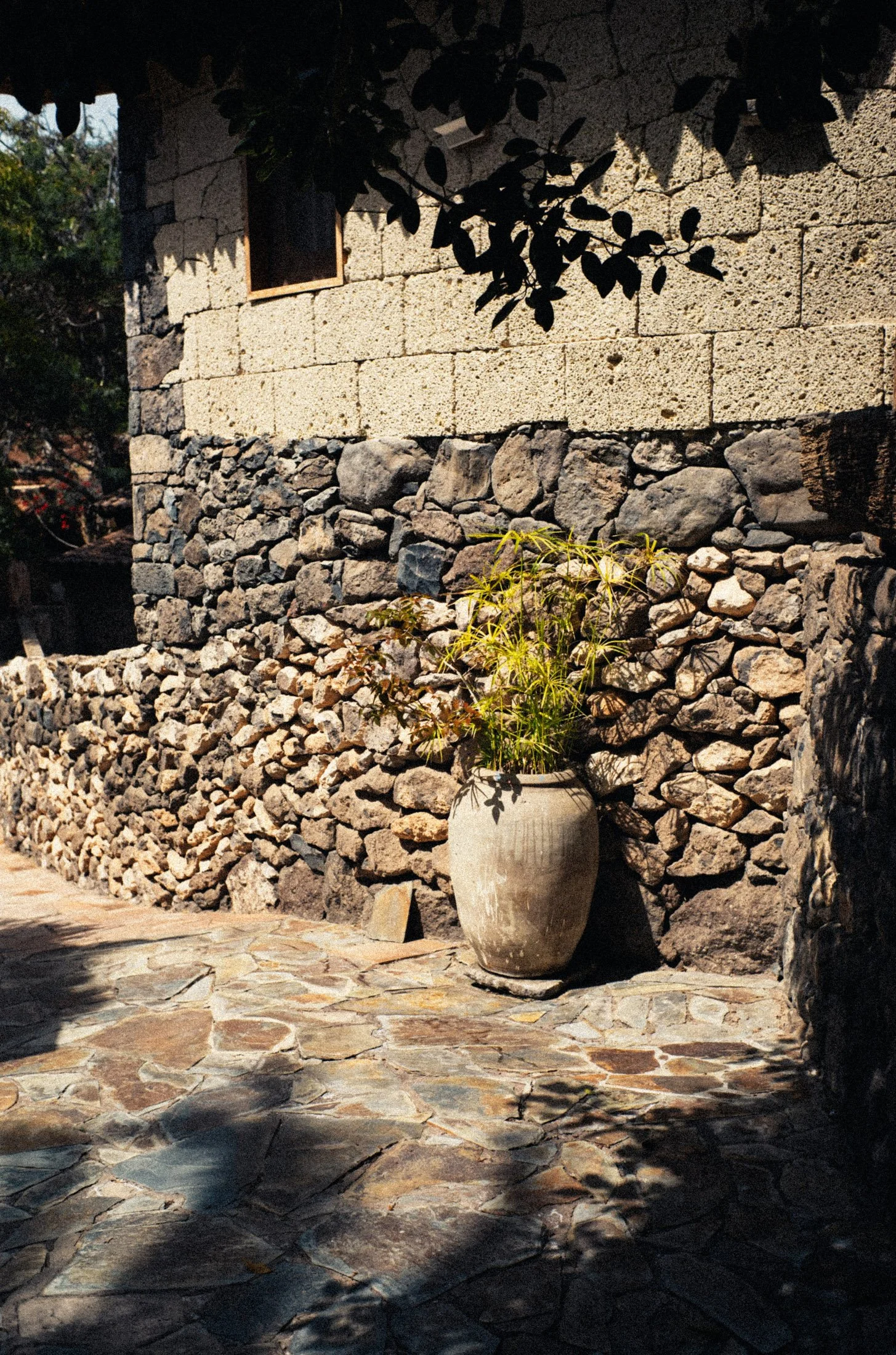 L1007824.jpg