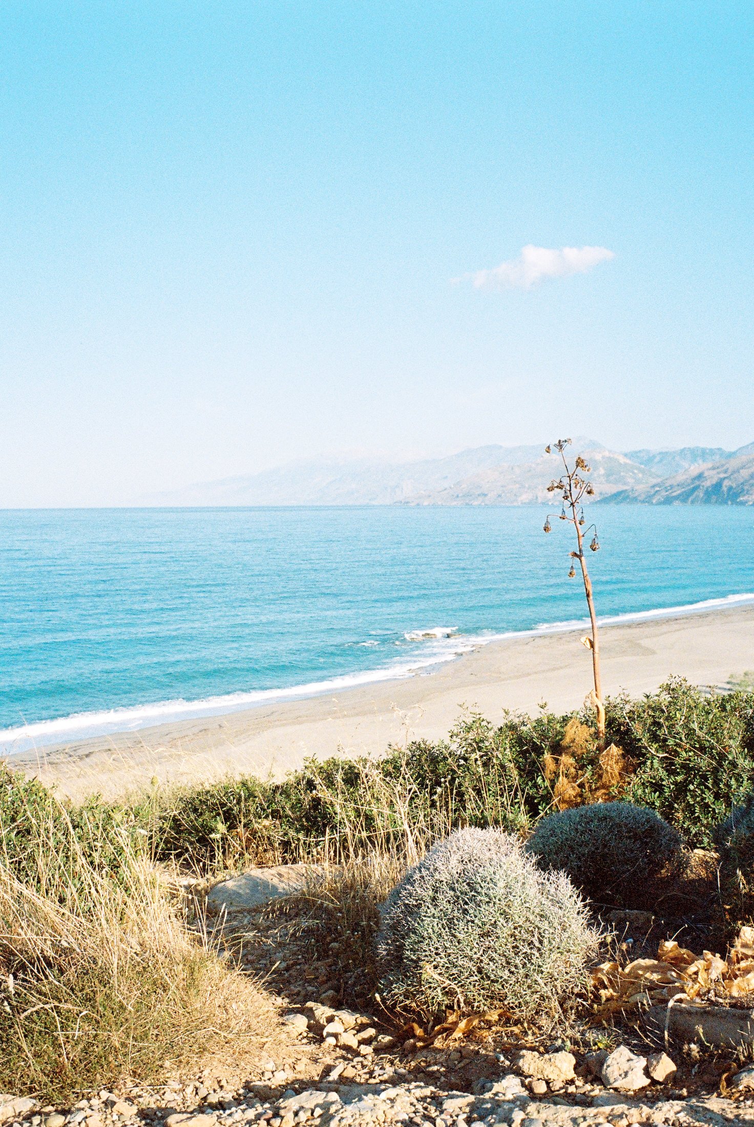 08_R1-00446-0033.jpg