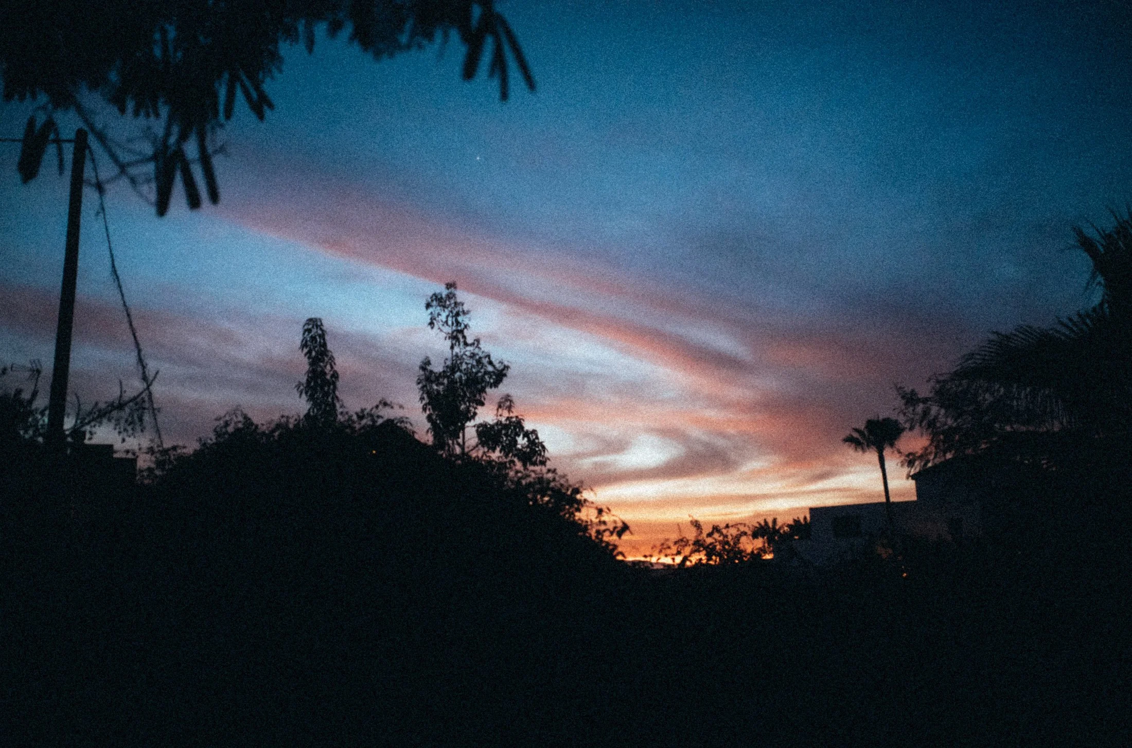 L1007672.jpg