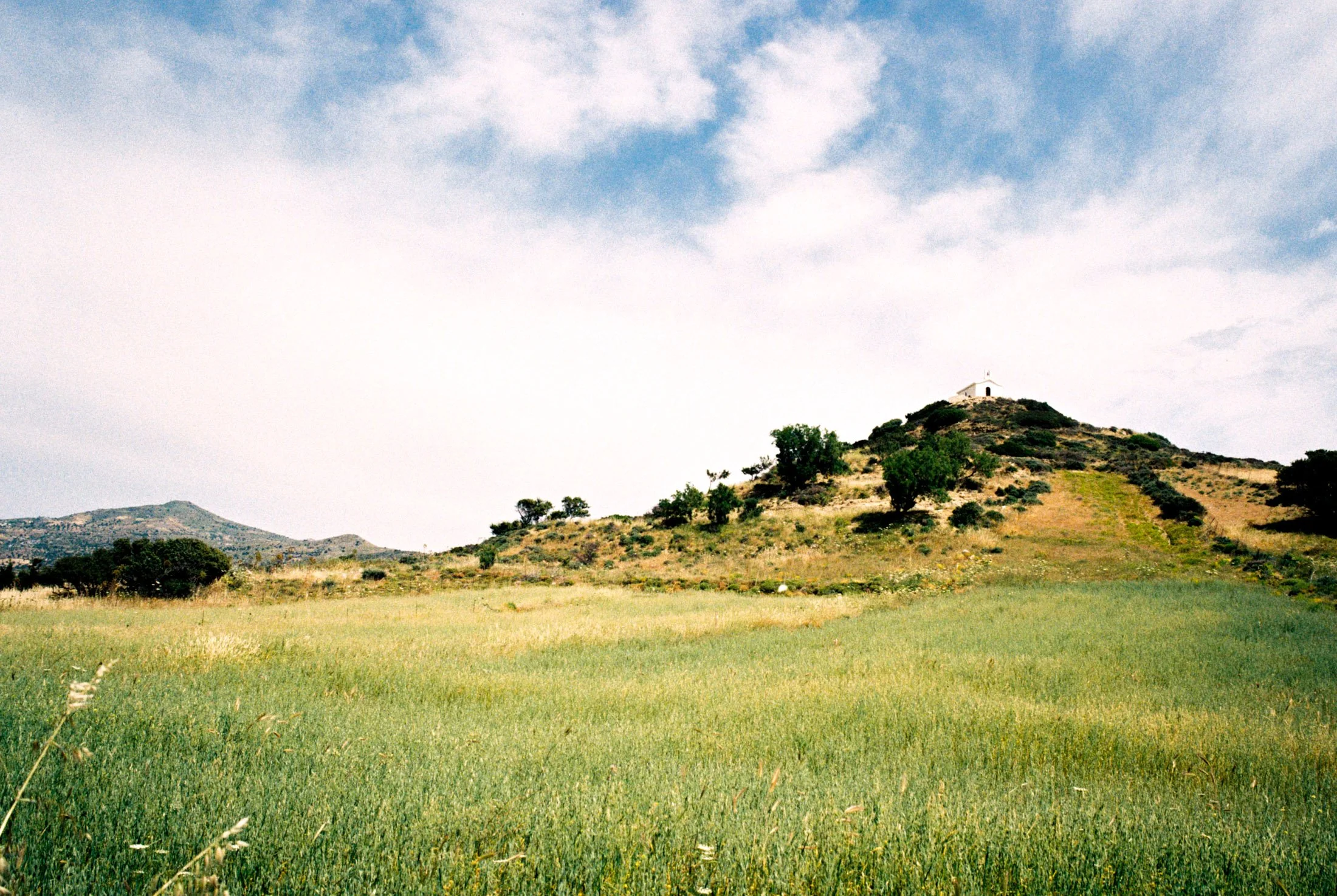 R1-03109-004A.jpg