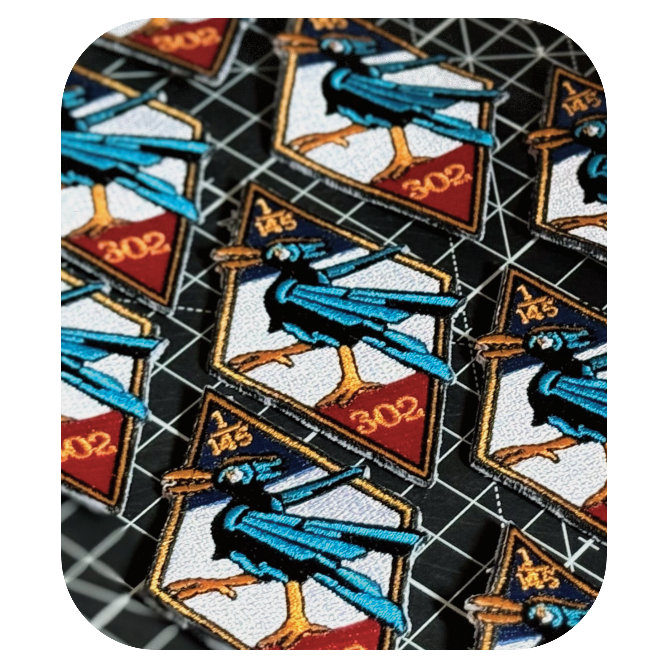 No. 302 City of Poznan Polish Squadron Patch