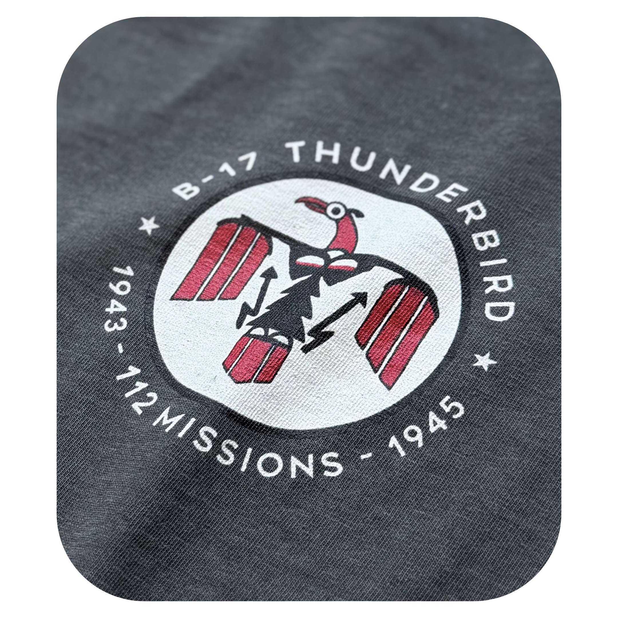B-17 Thunderbird - Pepper - Close 1.png