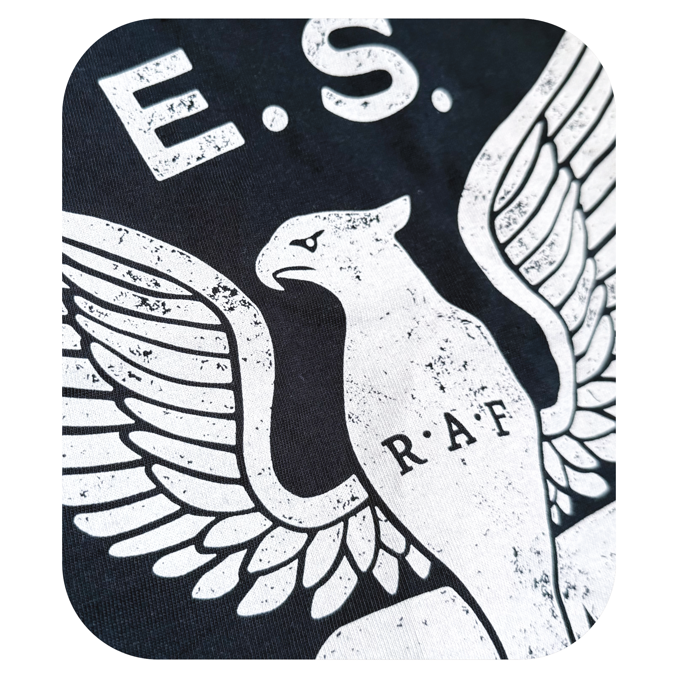 Eagle Squadrons - PI - Detail Capsule.png