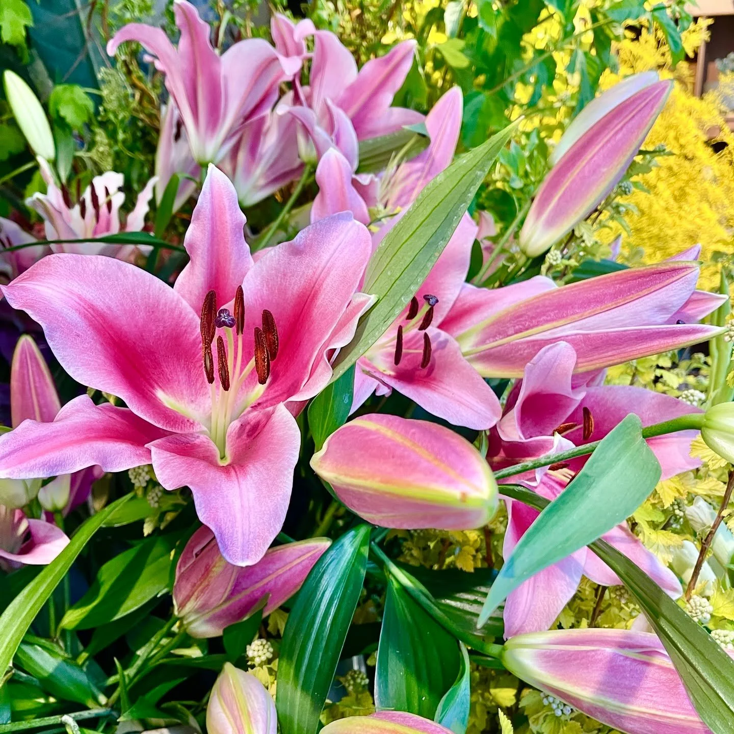 Pour la f&ecirc;te des Mamans auxquelles nous pensons tous les jours de l'ann&eacute;e, notre artisan fleuriste AUQUE &amp; VONG Paris vous accueille ce dimanche 25 mai 2025 pour concevoir avec vous, &agrave; votre go&ucirc;t et pour tous les co&ucir