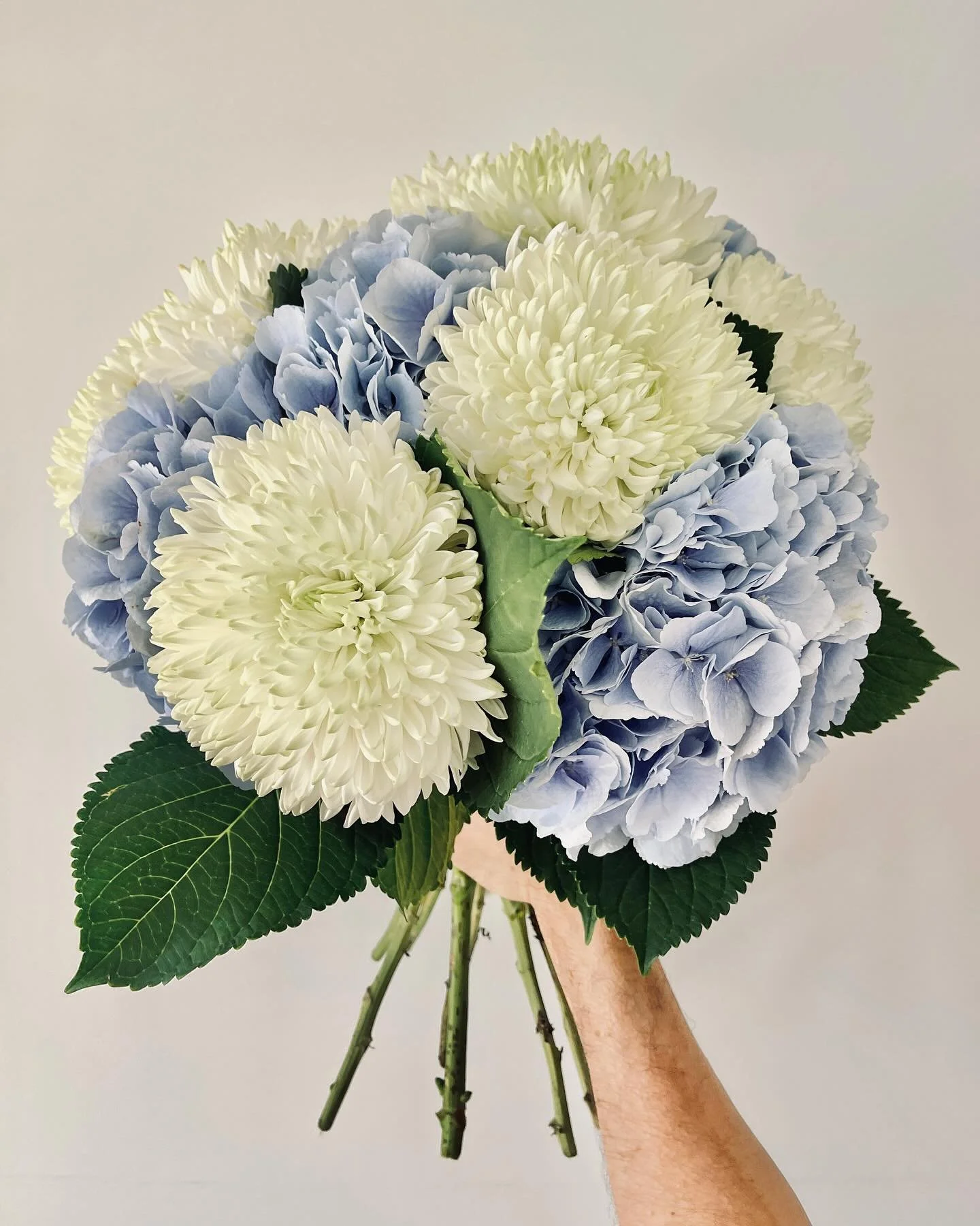 AUQUE &amp; VONG VOUS SOUHAITE DE TR&Egrave;S BELLES F&Ecirc;TES DE FIN D&rsquo;ANN&Eacute;E / NOUS SOMMES A VOS C&Ocirc;T&Eacute;S POUR LES FLEURIR,  FAIRE PLAISIR ET AVANT TOUT VOUS ! FAIRE PLAISIR #auqueetvongparis #artisanfleuristeparisien #noel2