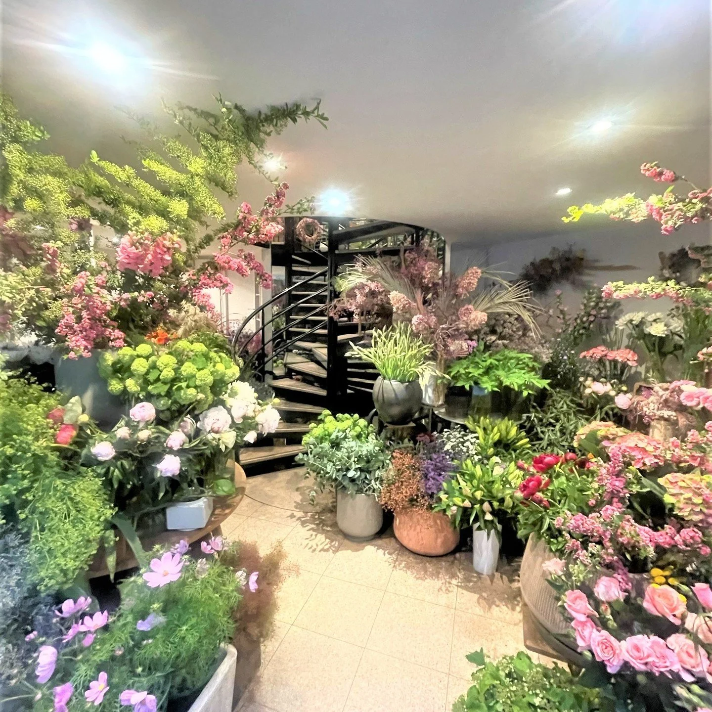 Votre artisan fleuriste parisien @auqueetvong a tout pr&eacute;vu et vous accueille dans sa boutique du #30ruedecl&eacute;ry75002paris pour vous et toutes vos Mamans! Elles le m&eacute;ritent bien! #auqueetvongparis #artisanfleuristeparisien #f&ecirc