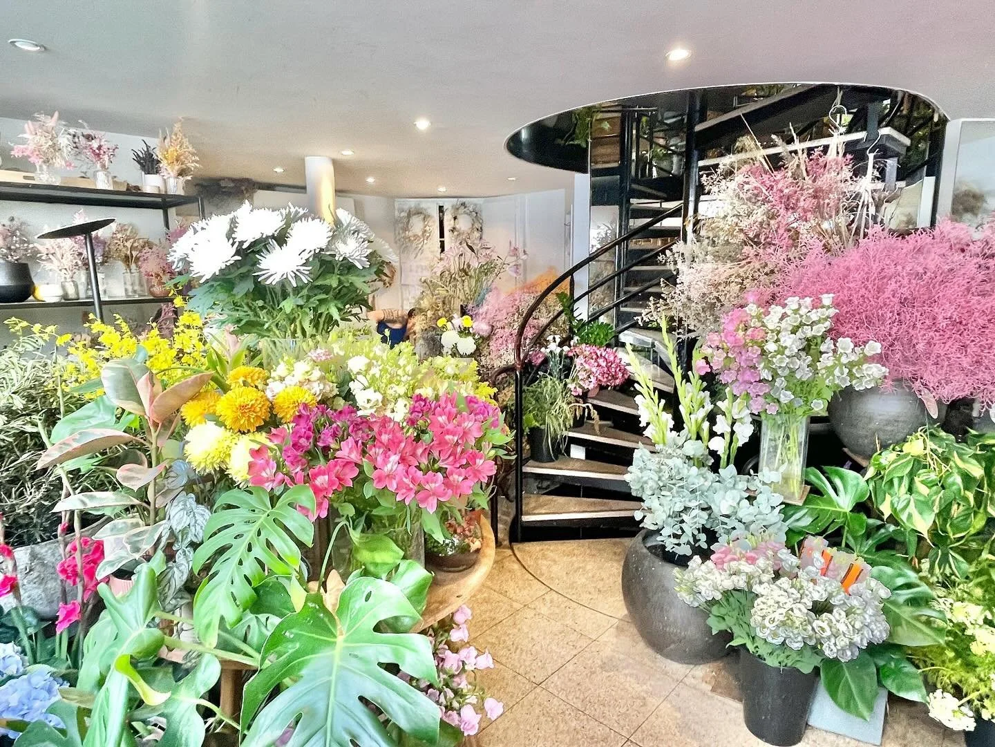 Votre artisan fleuriste @auque_vong vous accueillera au frais  jusque ce mercredi 31 juillet 20h avant de s&rsquo;accorder un mois d&rsquo;ao&ucirc;t rempli de #jo2024paris et de #farniente . Derniers arrivages de fleurs fra&icirc;ches et notre s&eac