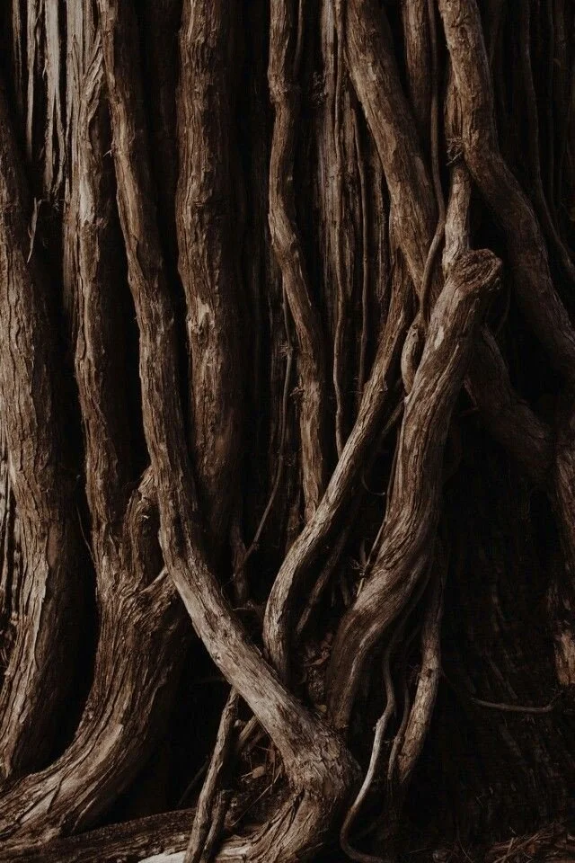 Weekly Roots Call